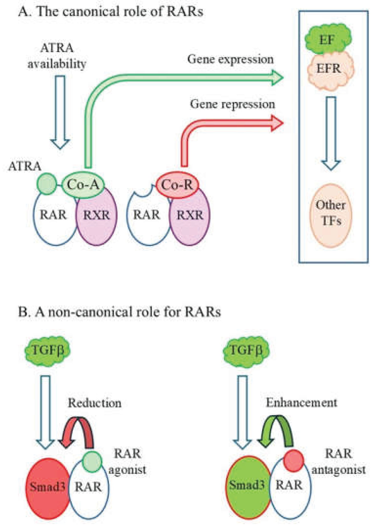 Preprints 192377 g004