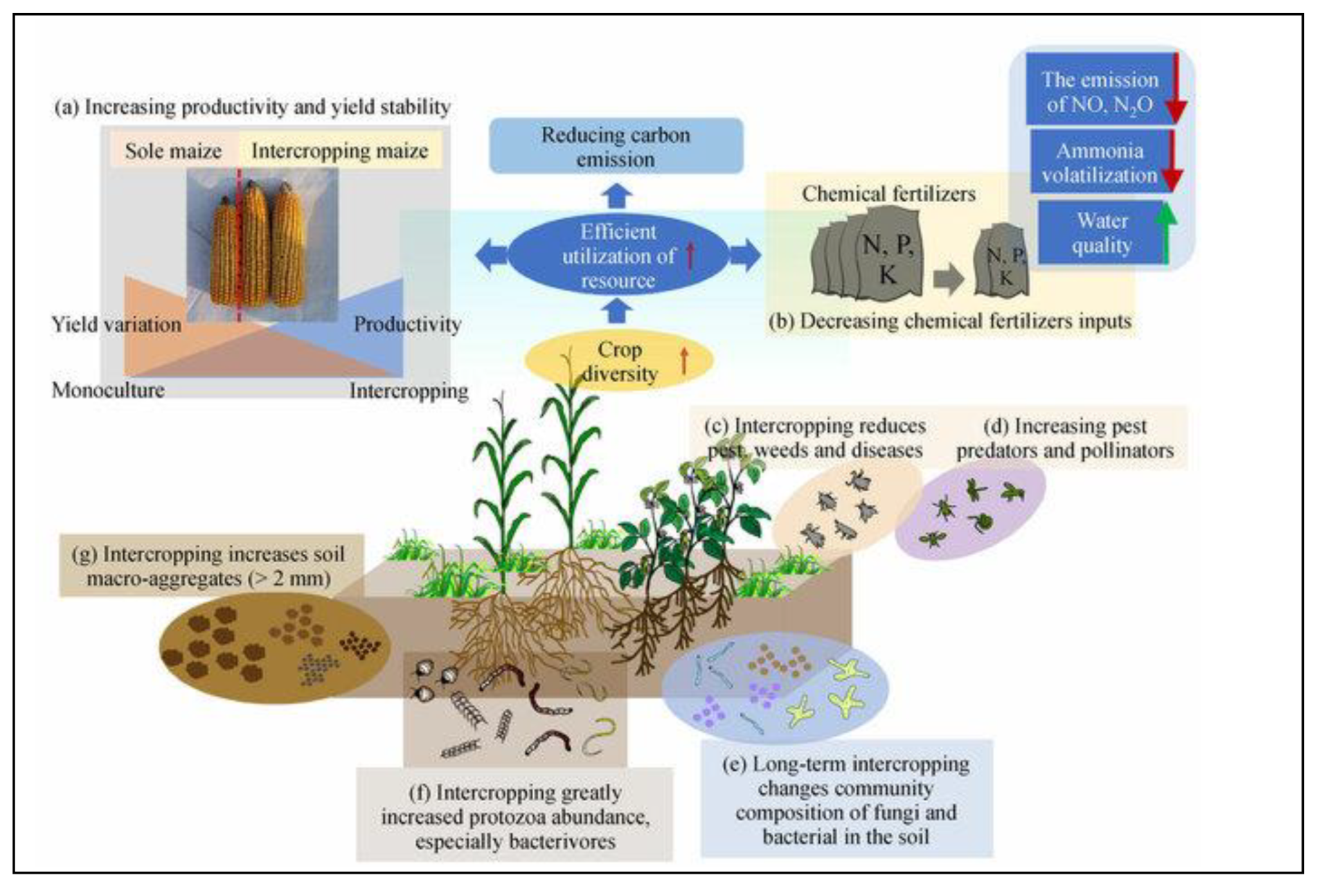 Preprints 193650 g005