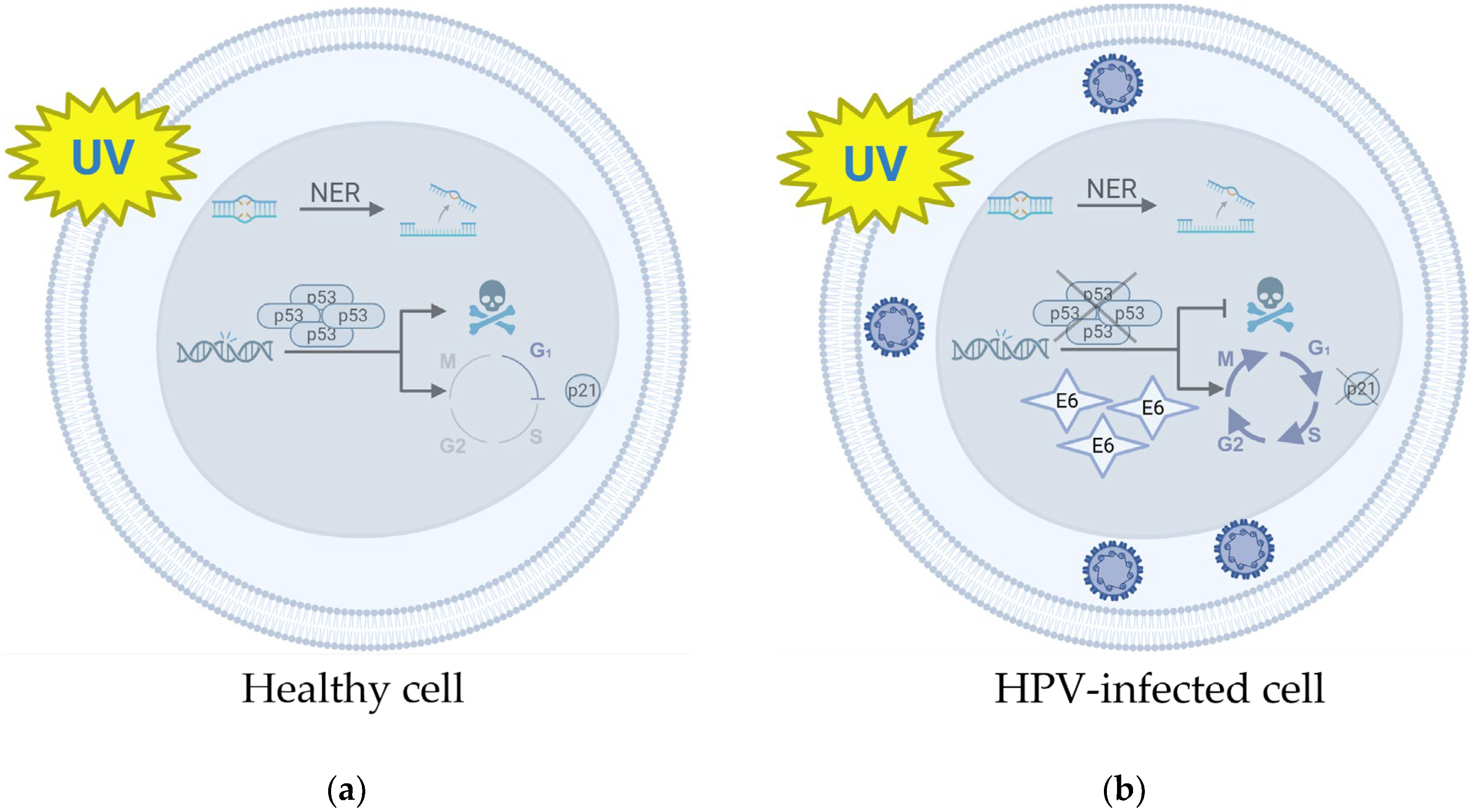 Preprints 173447 g001