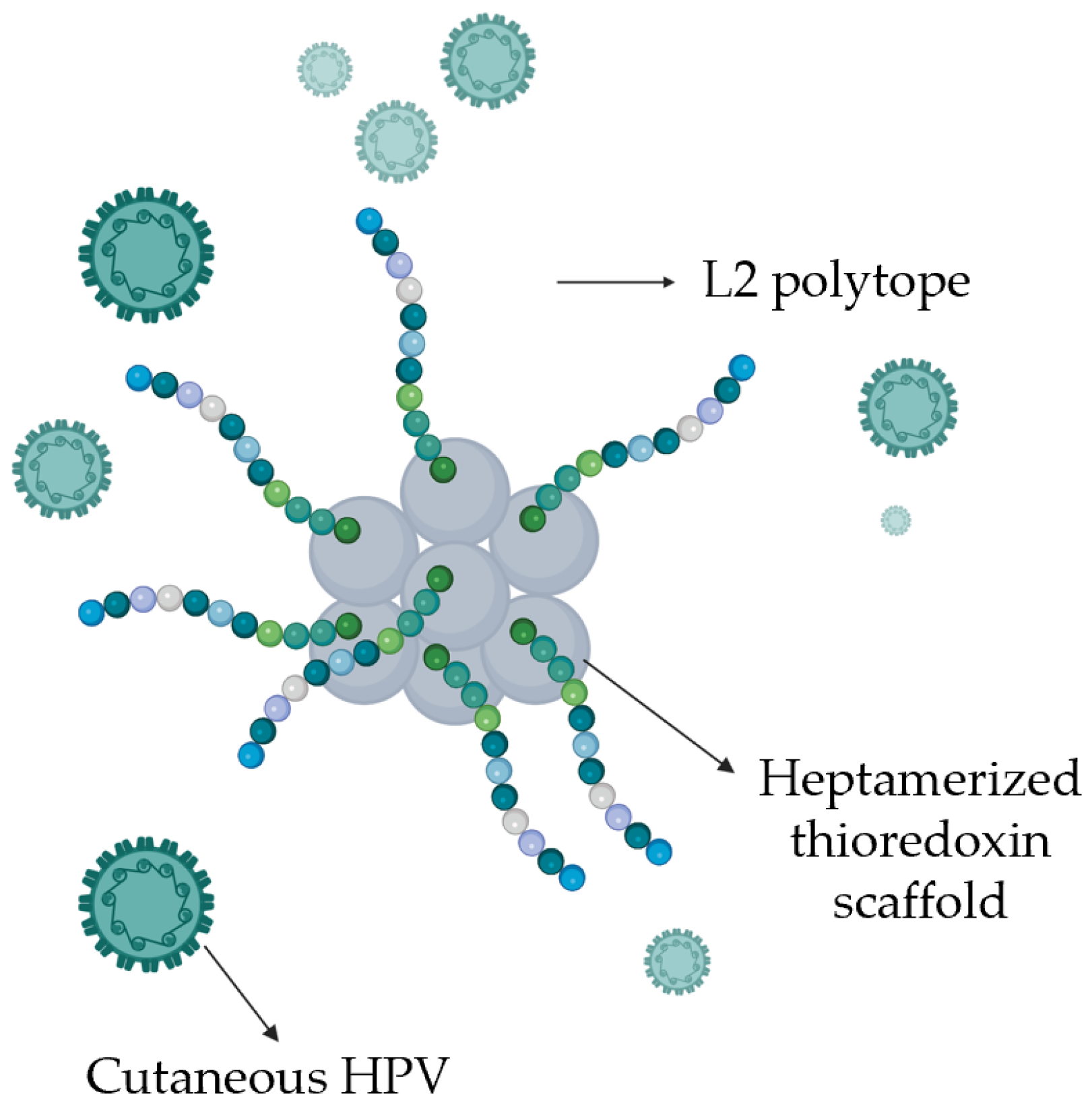 Preprints 173447 g002