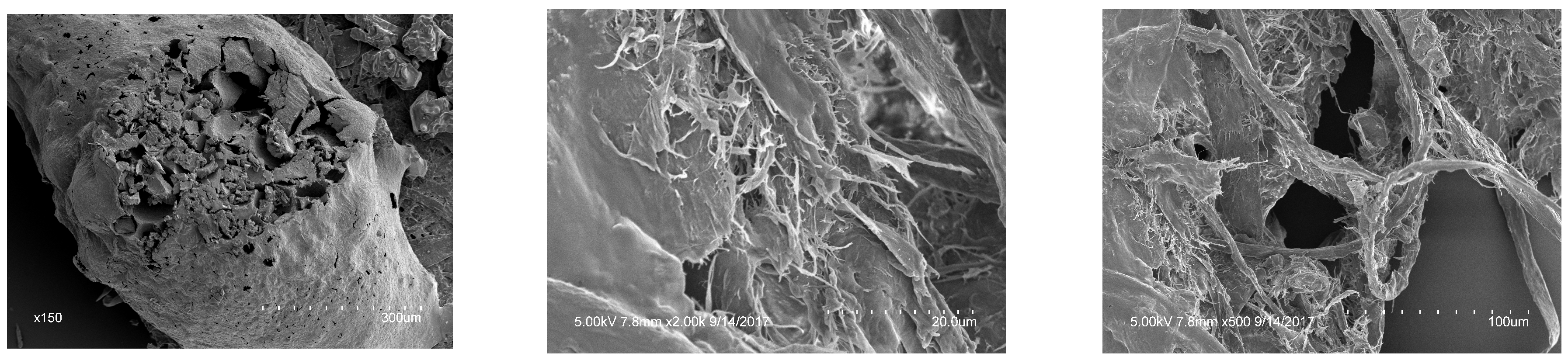 Preprints 172415 g001