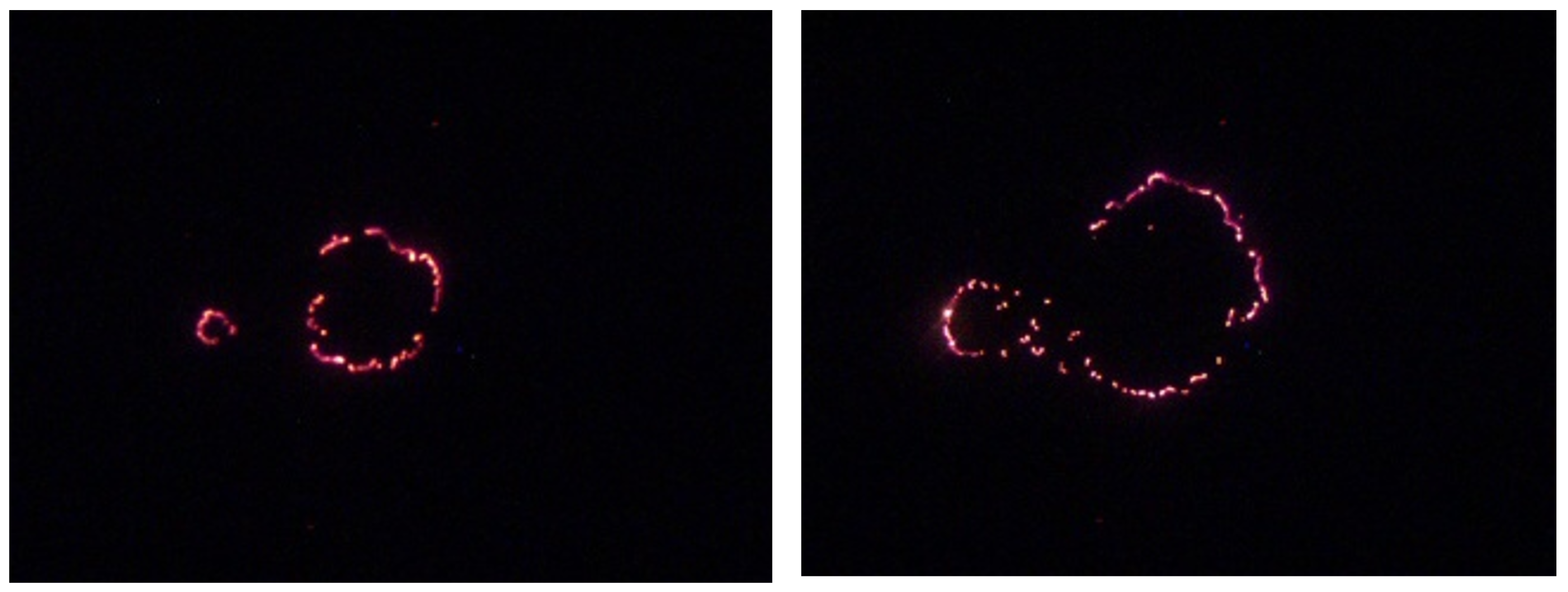 Preprints 172415 g006