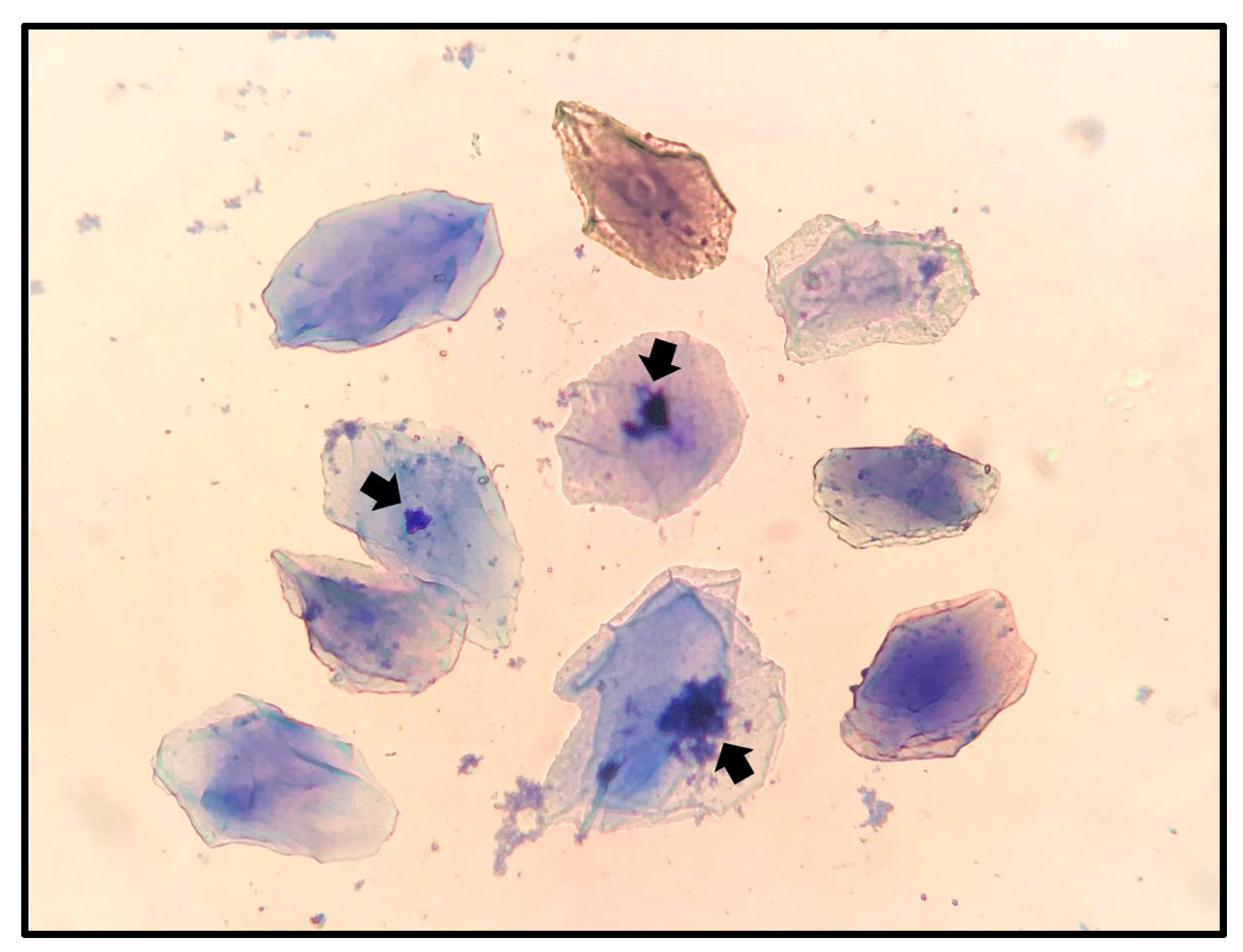 Preprints 178652 g001