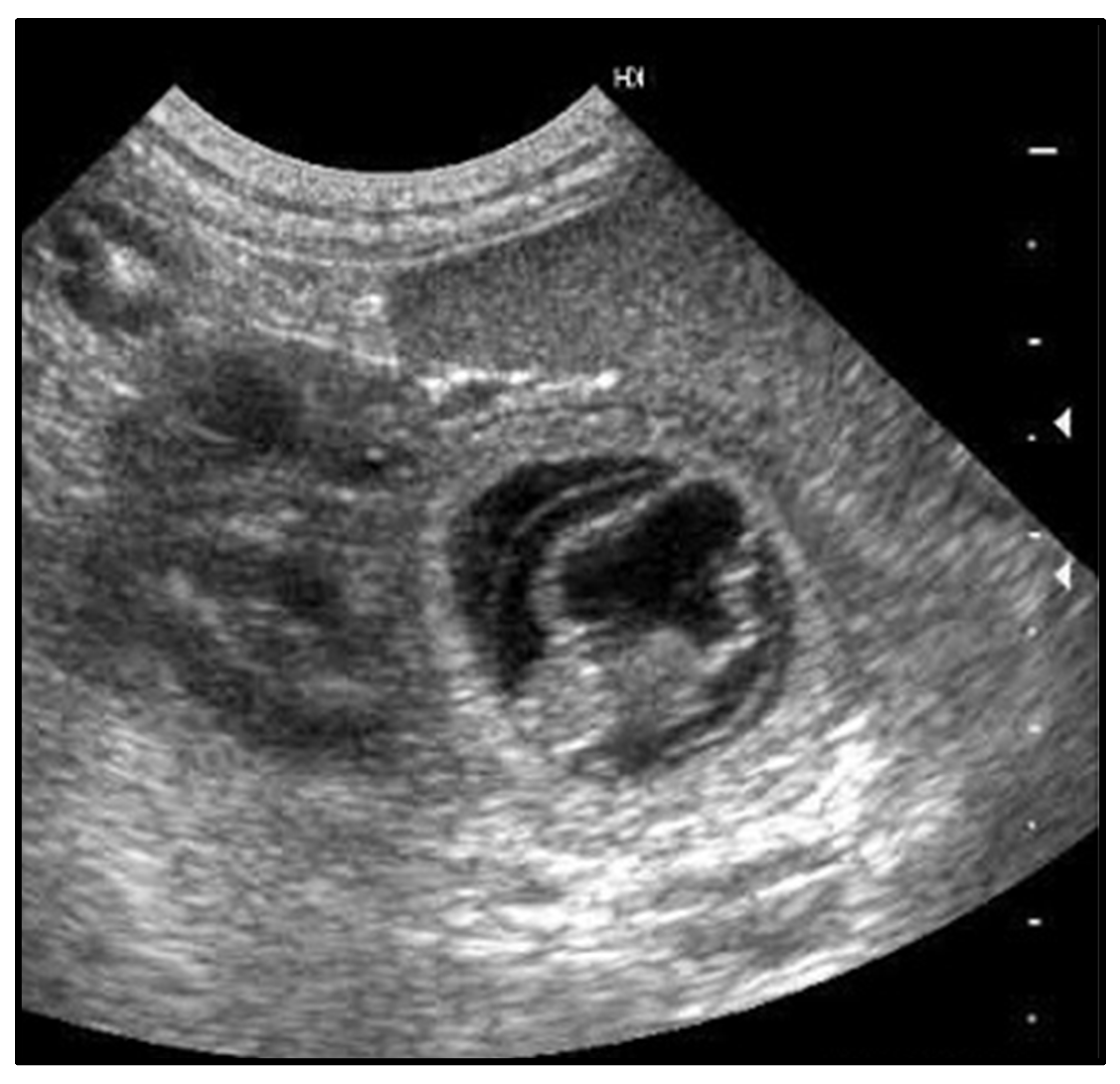 Preprints 178652 g002