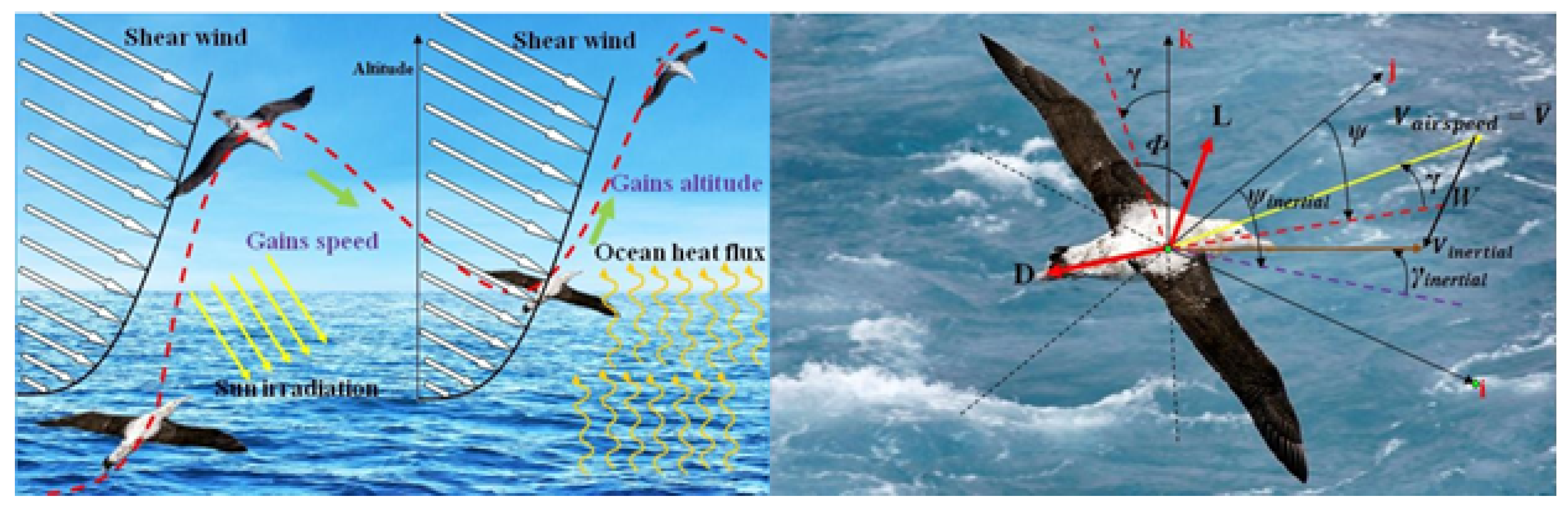 Preprints 183912 g035