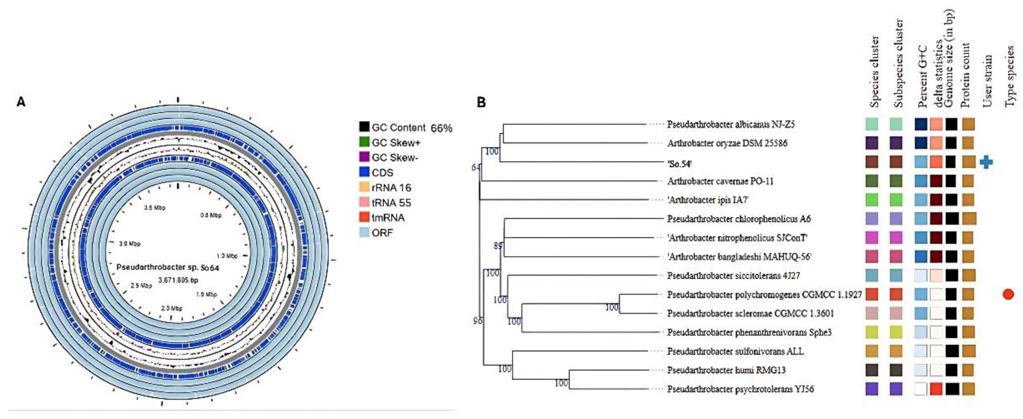 Preprints 152010 g001