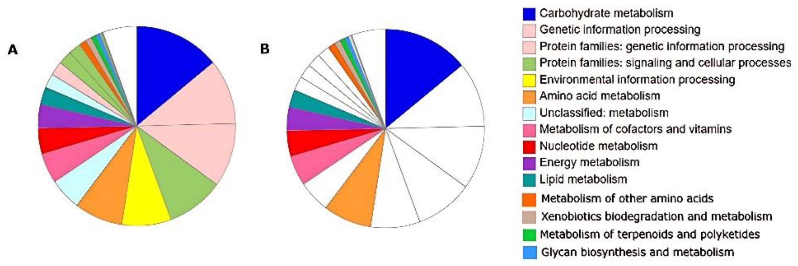 Preprints 152010 g002