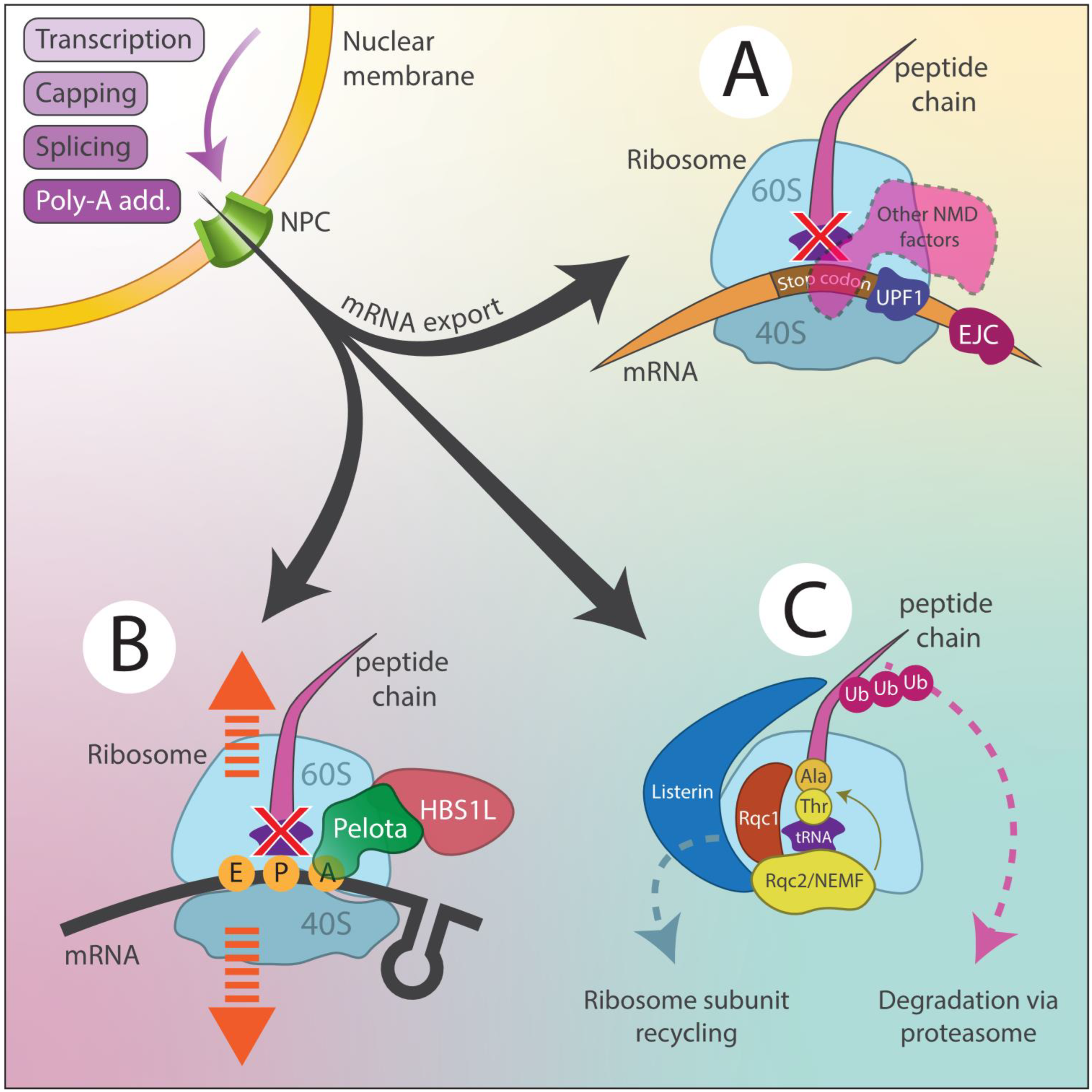 Preprints 150962 g004