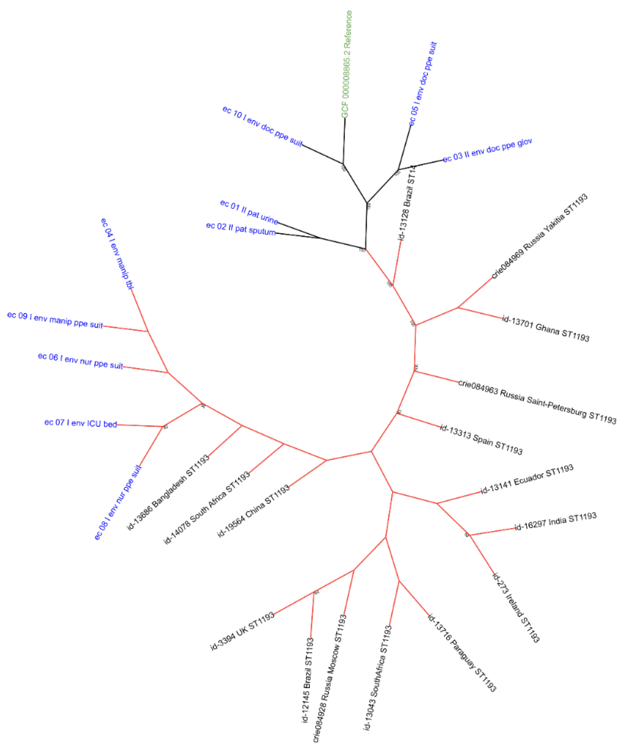Preprints 222557 g003 Preprints 222557 g003