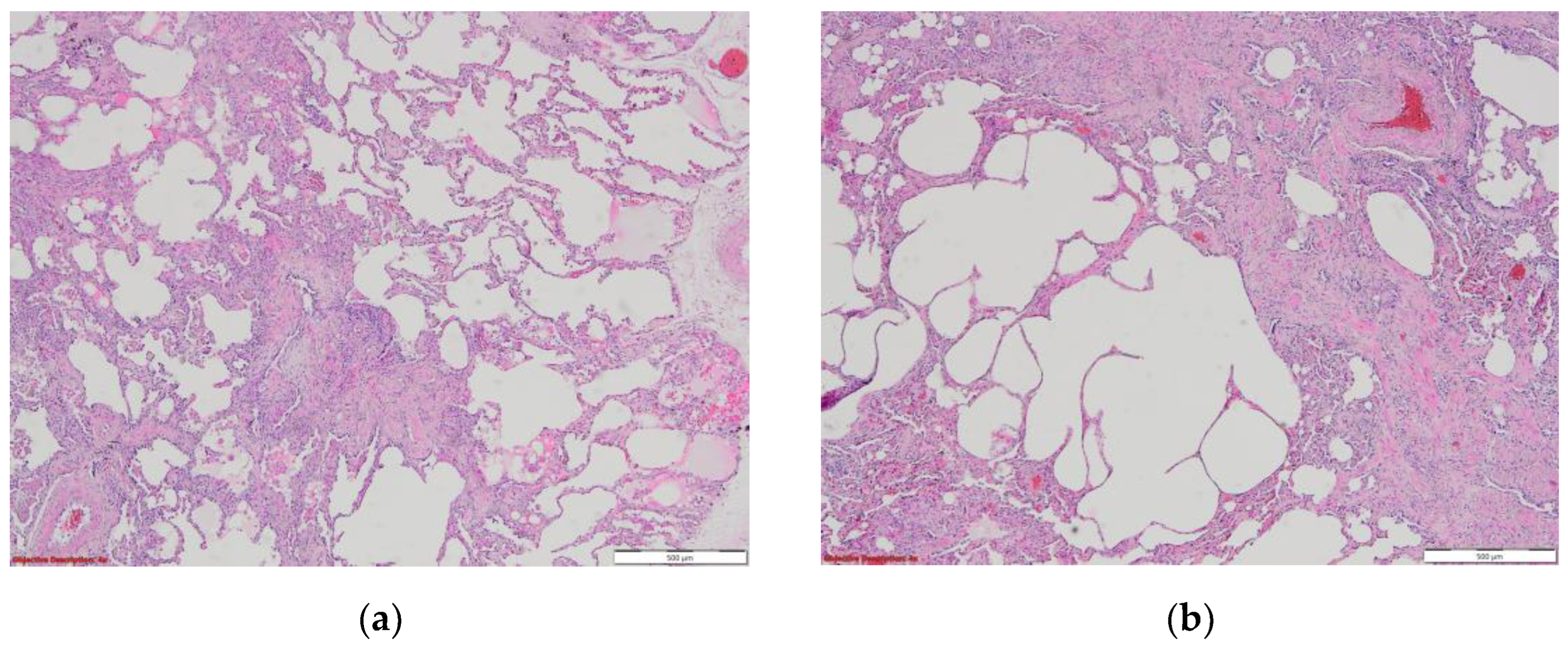 Preprints 72148 g003