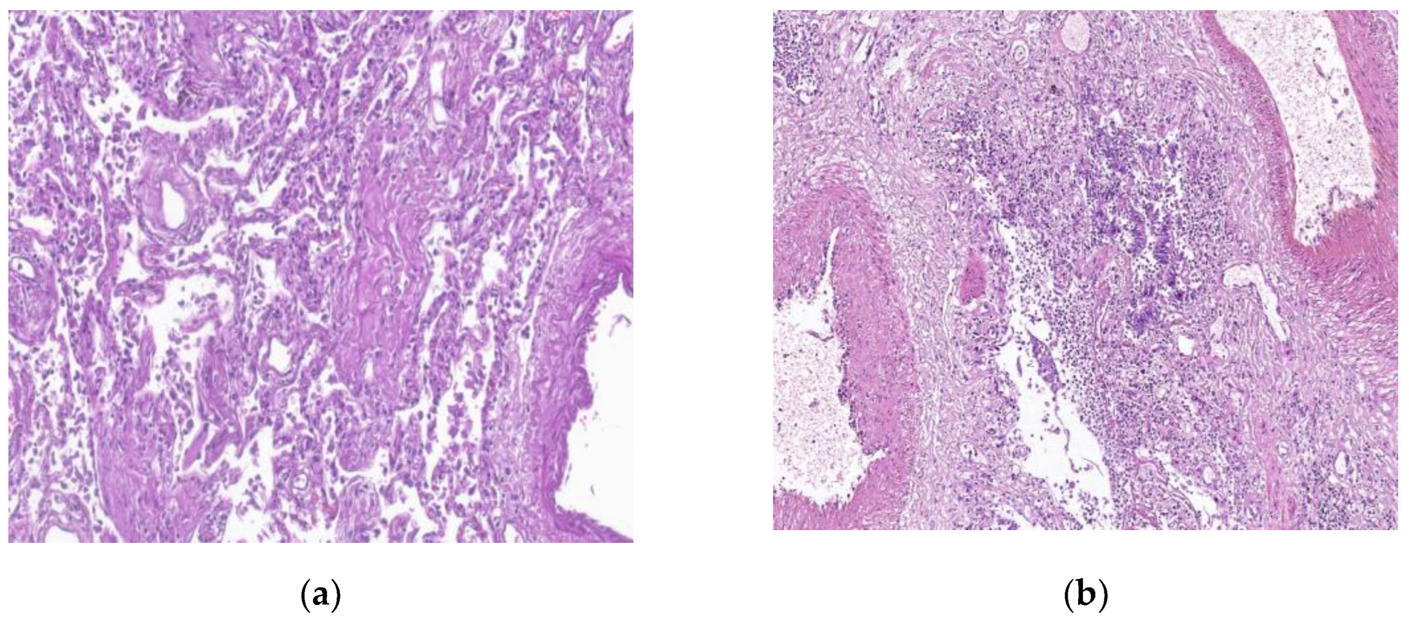 Preprints 72148 g005