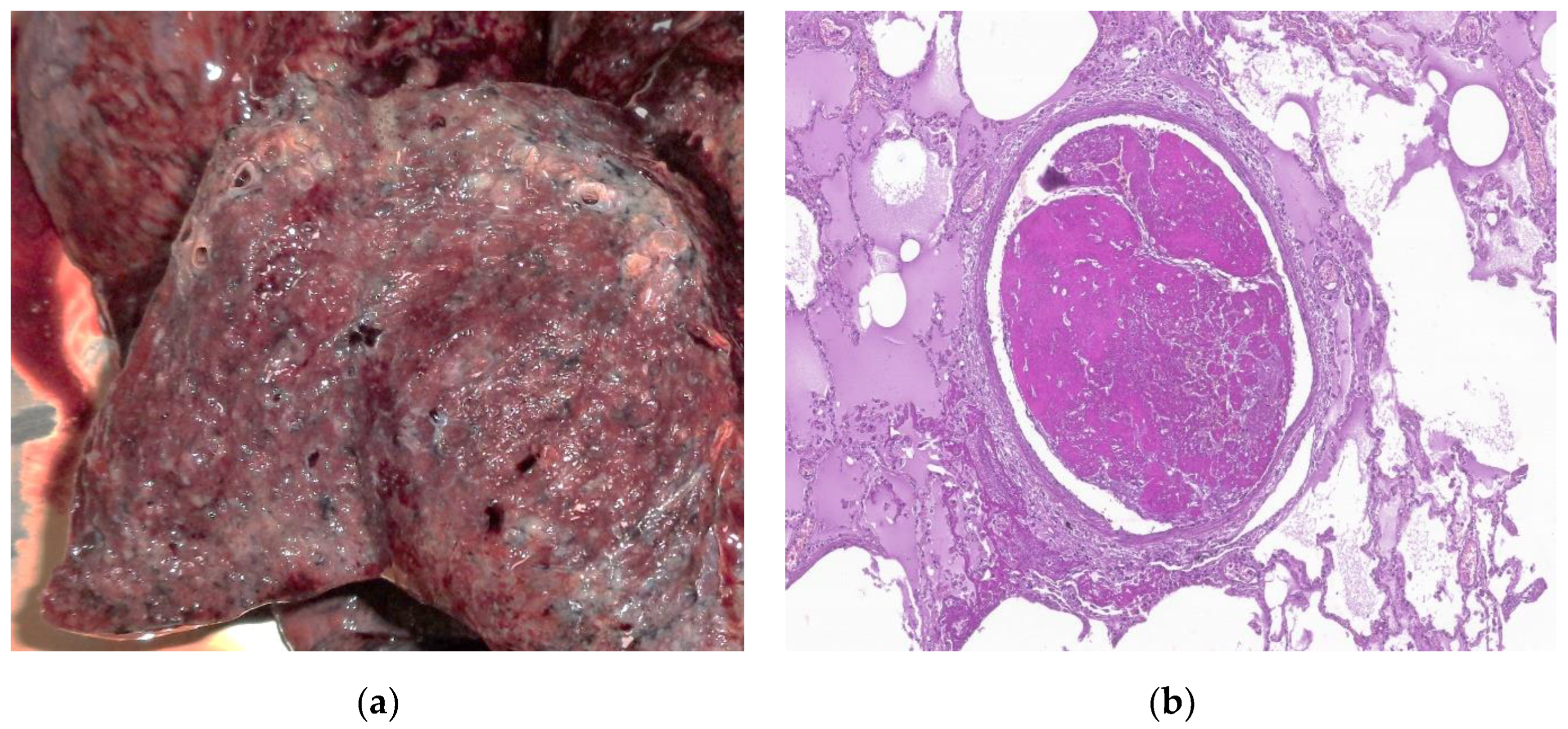 Preprints 72148 g006