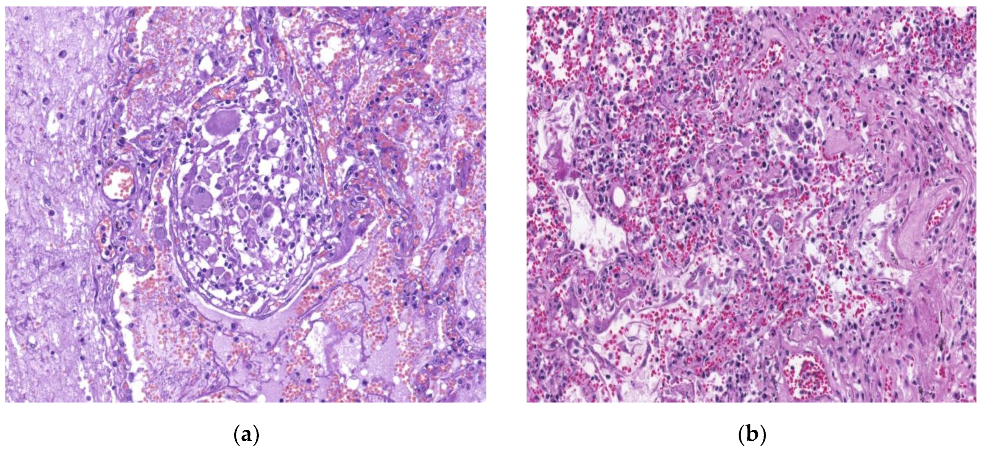 Preprints 72148 g007