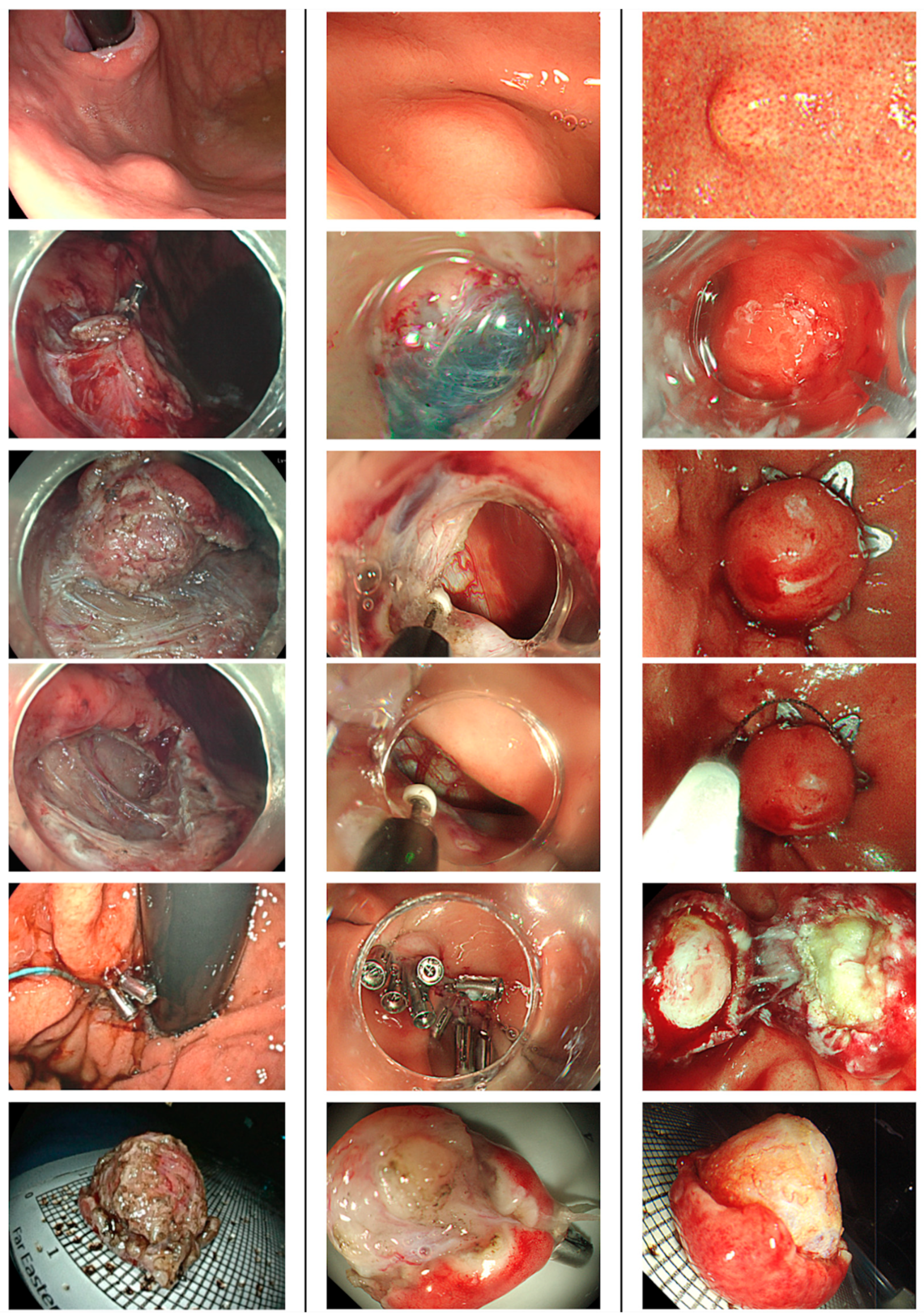 Preprints 187299 g002