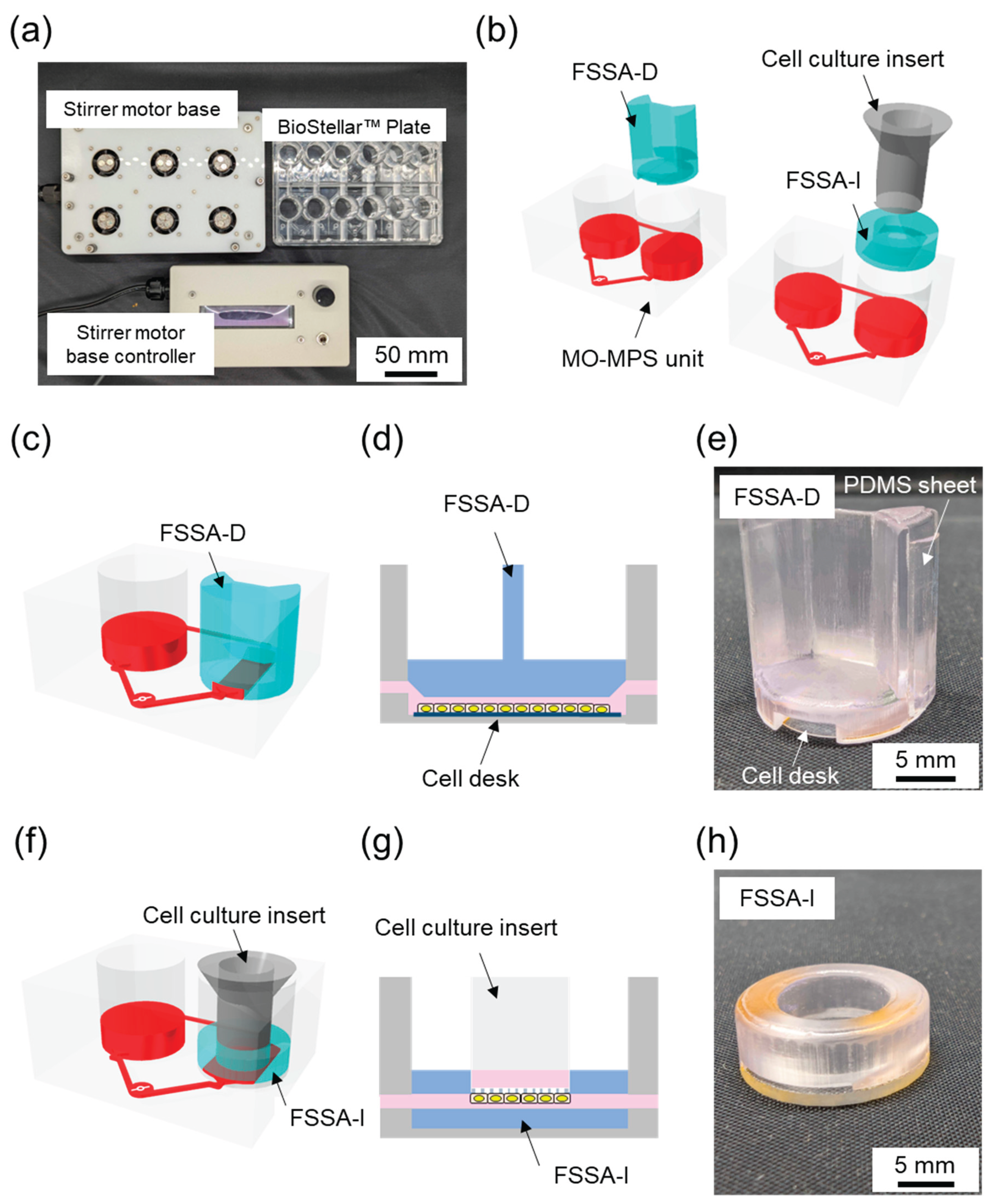 Preprints 171809 g001