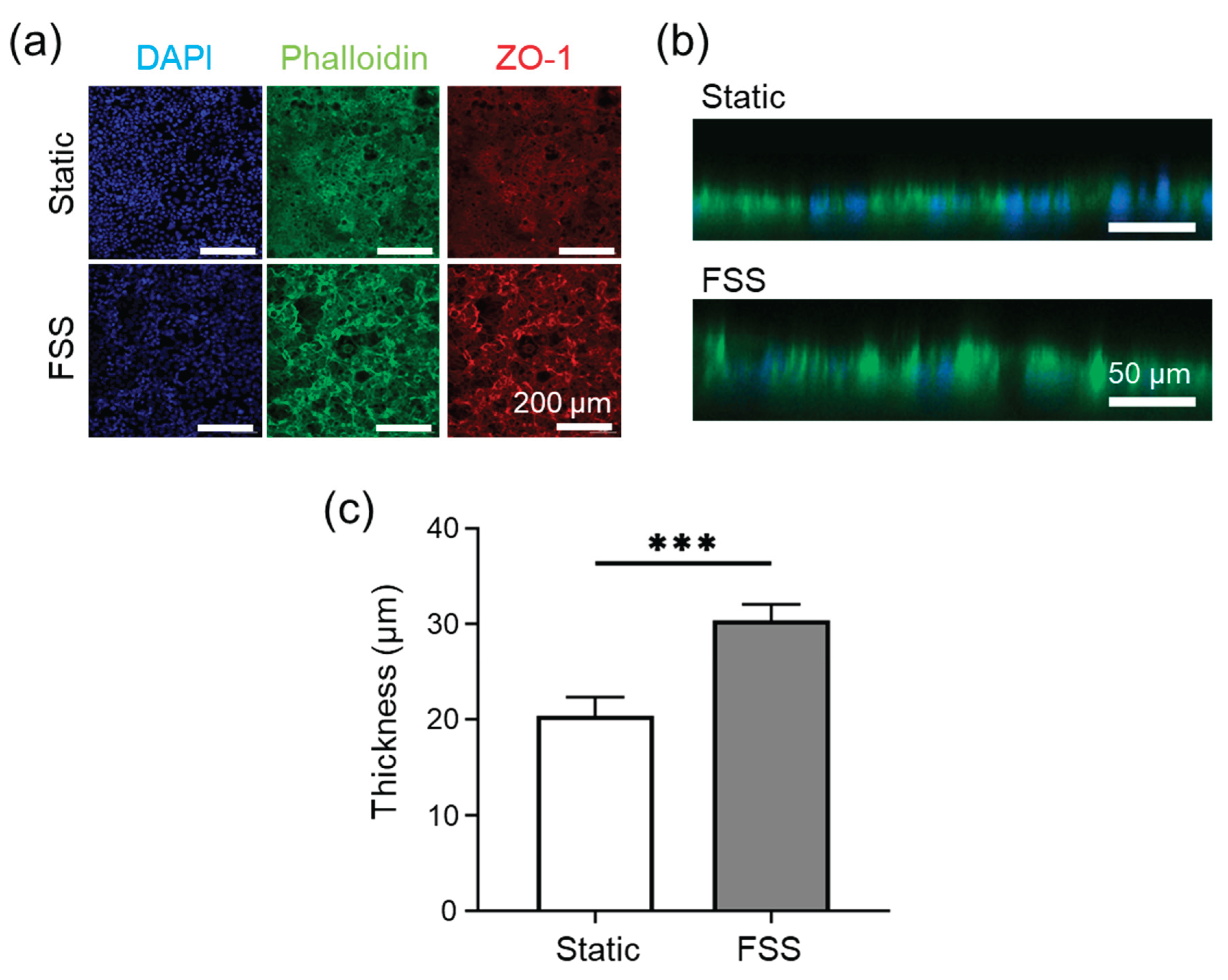 Preprints 171809 g003