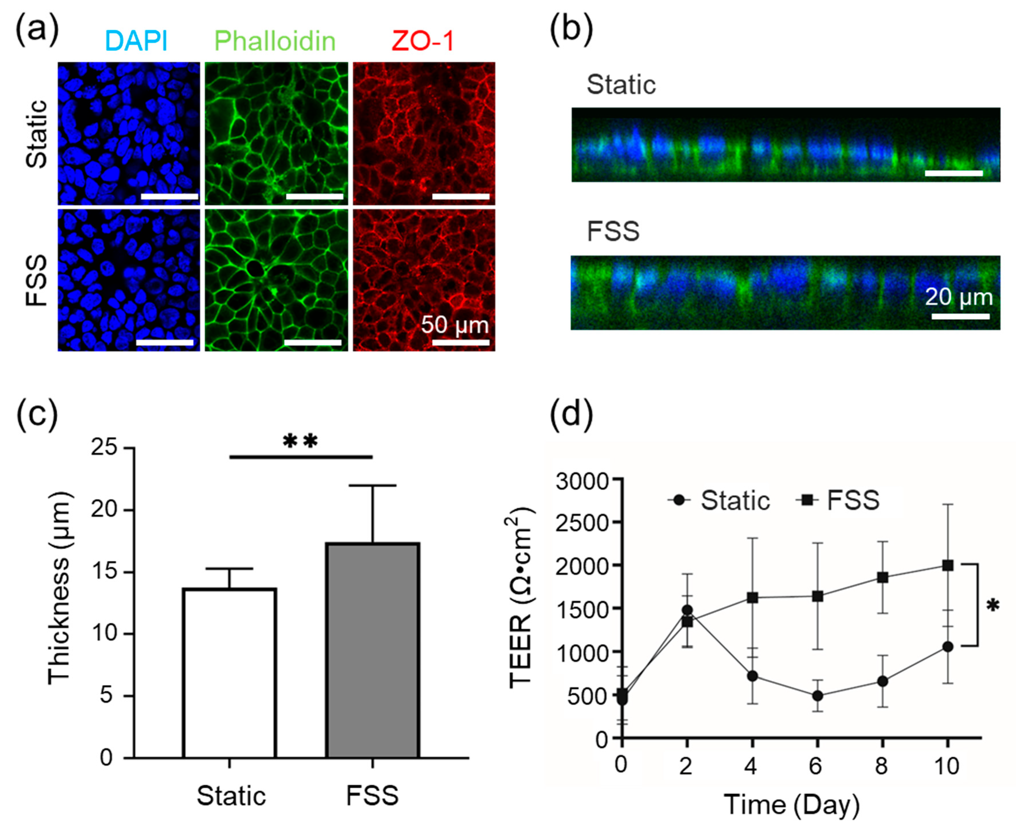 Preprints 171809 g004