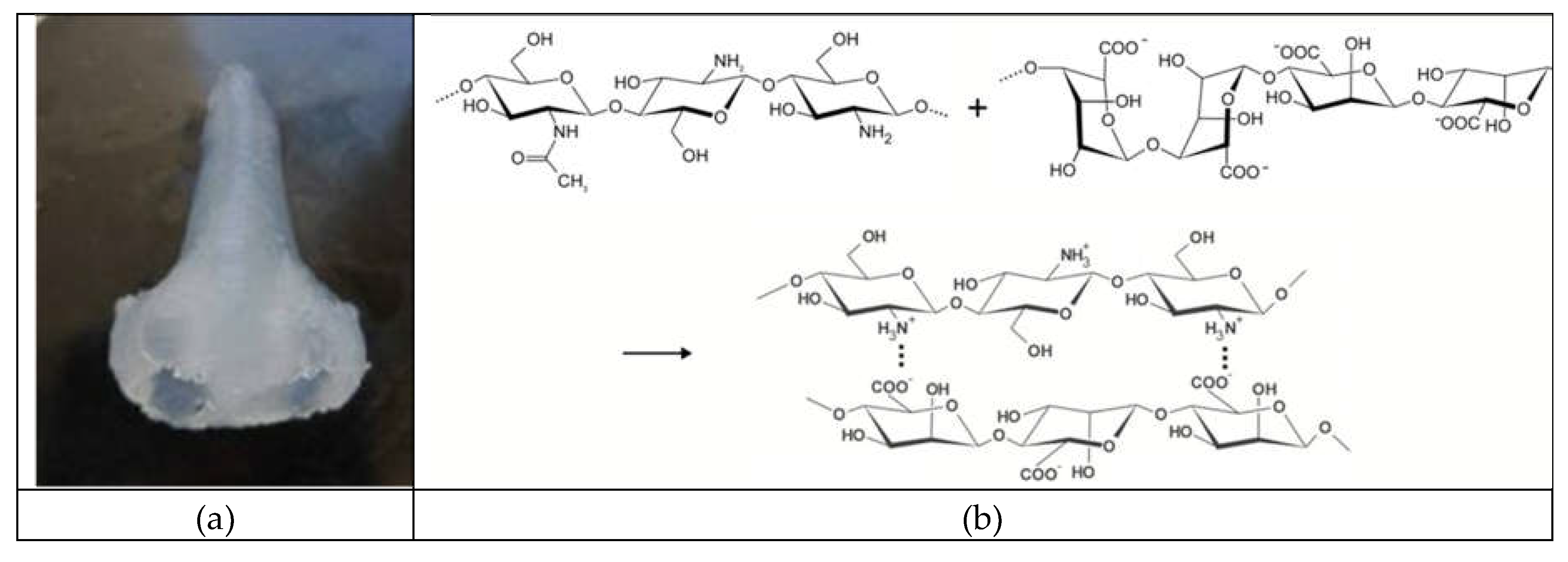 Preprints 159536 g003