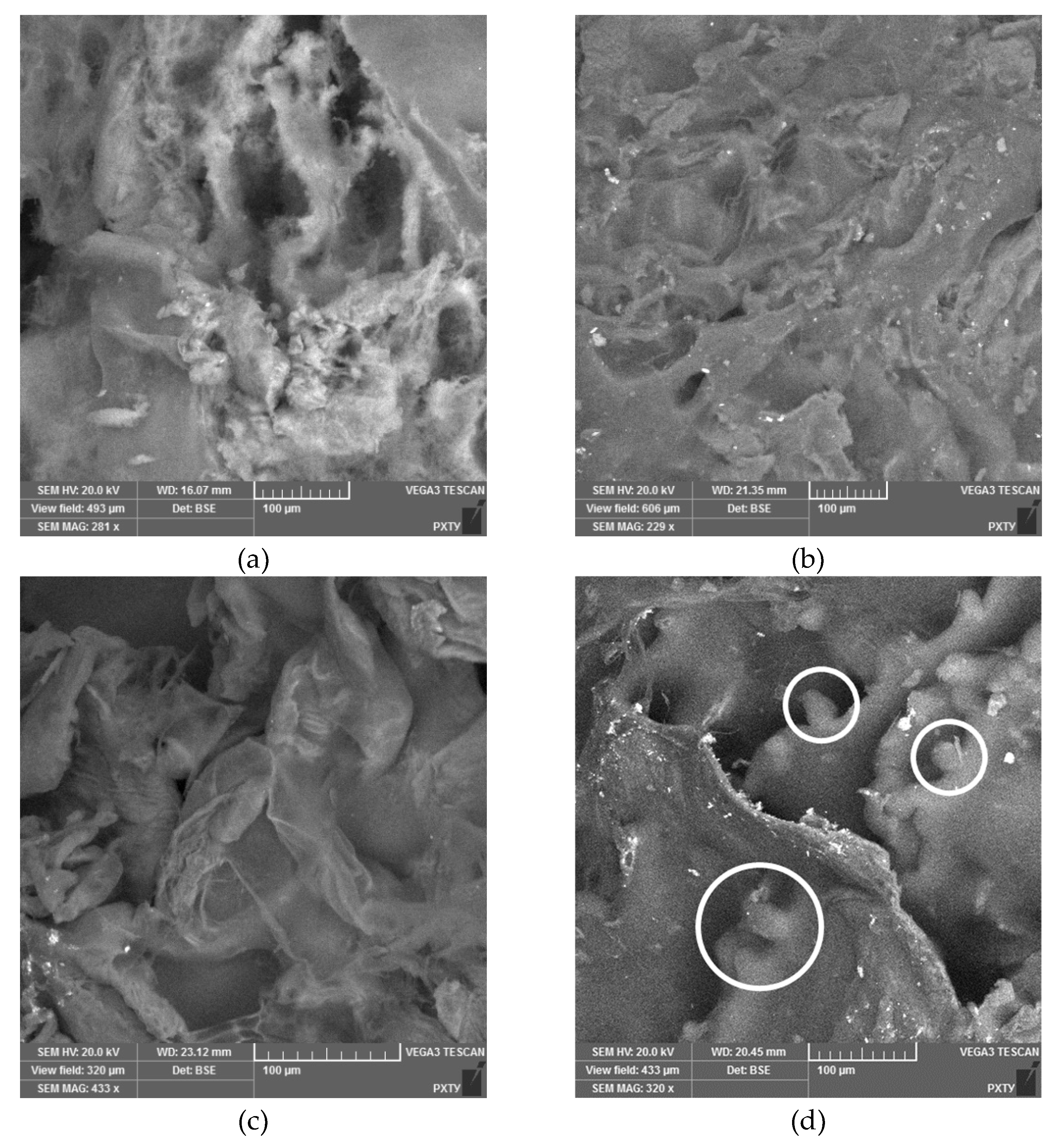 Preprints 159536 g004