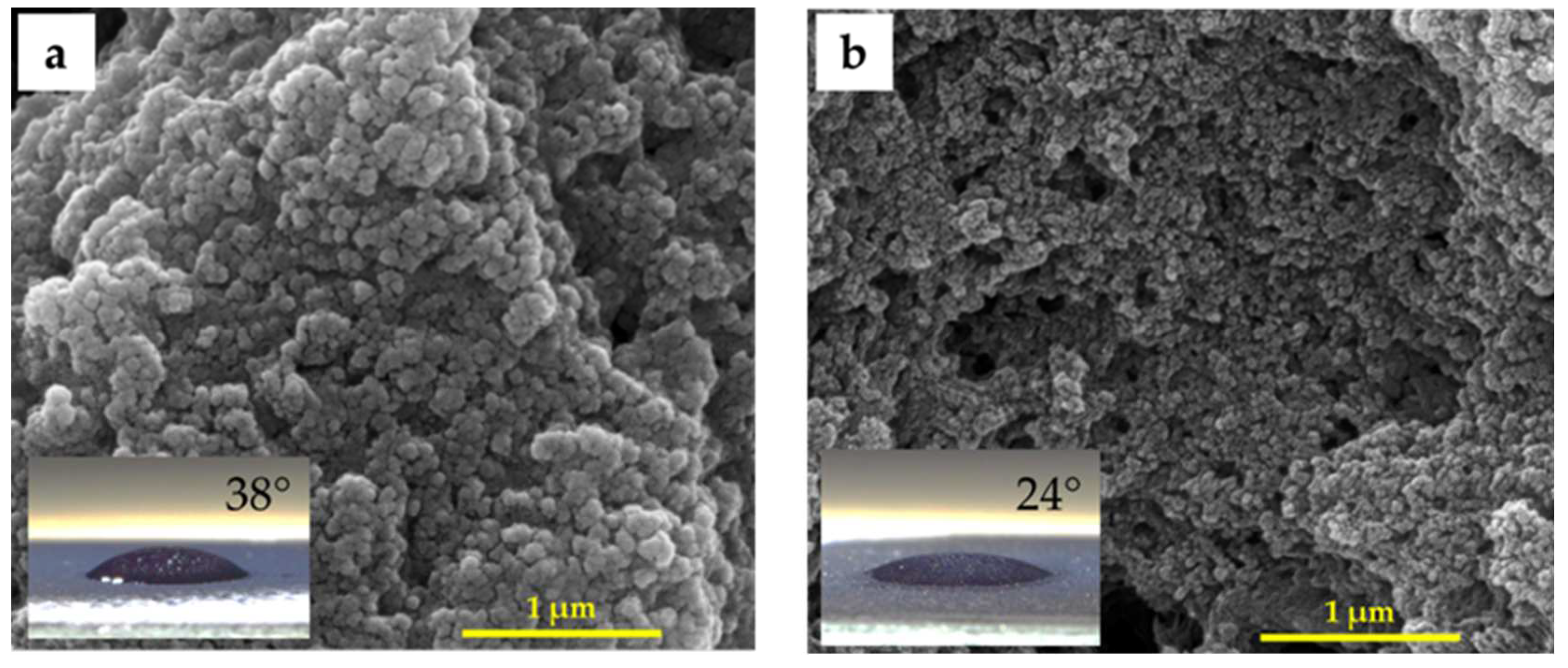 Preprints 99016 g003
