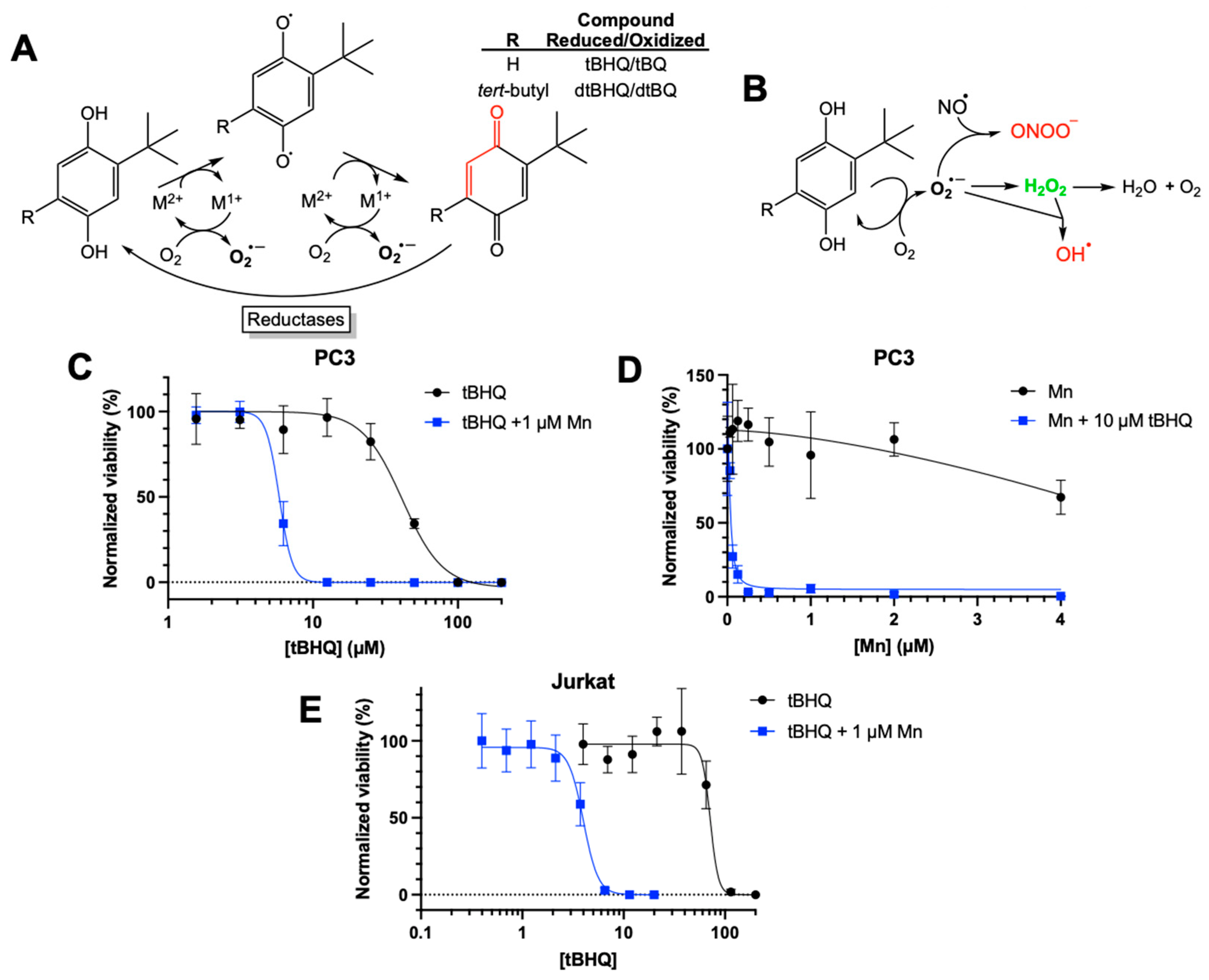 Preprints 190440 g001