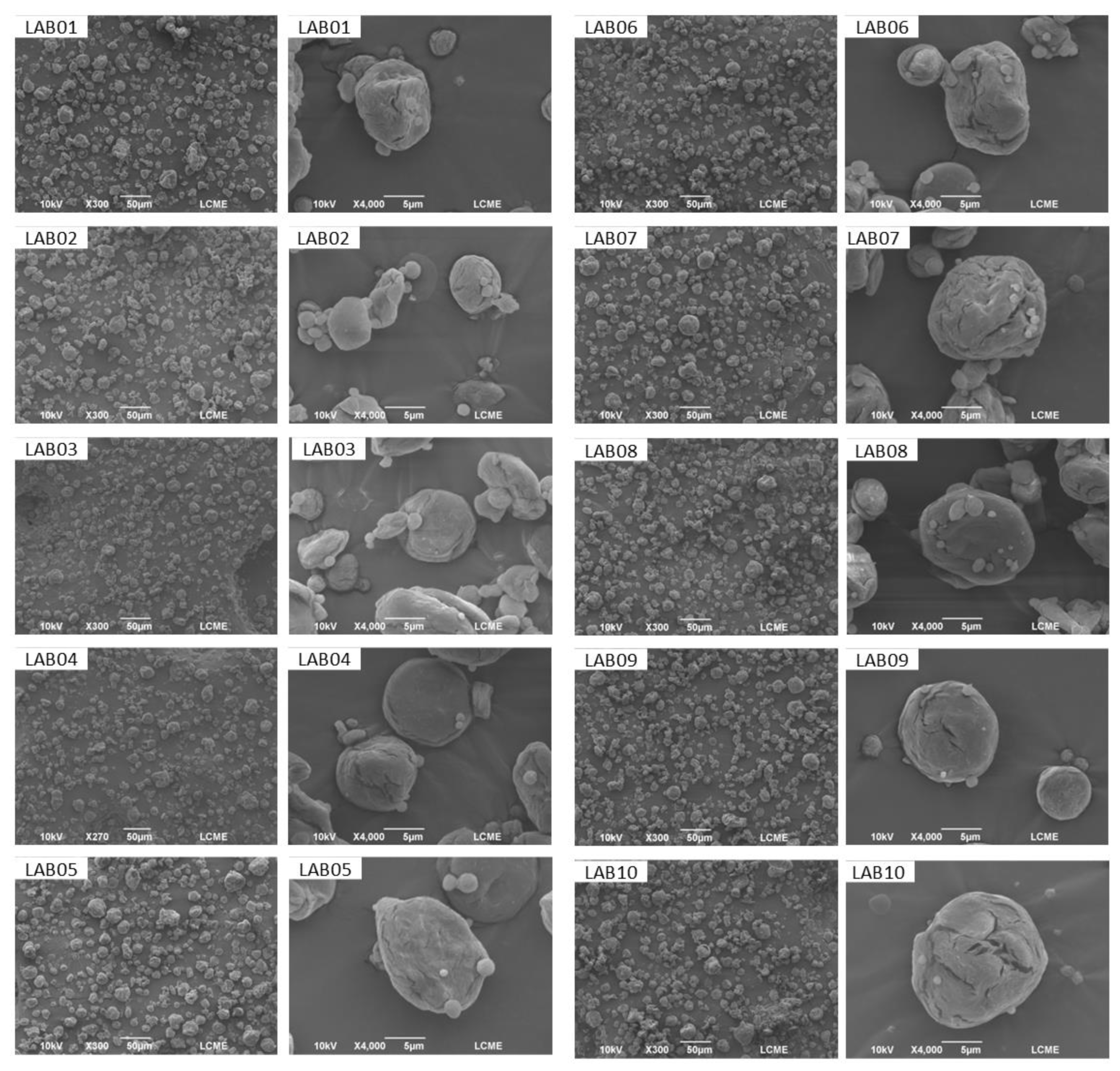 Preprints 192941 g004