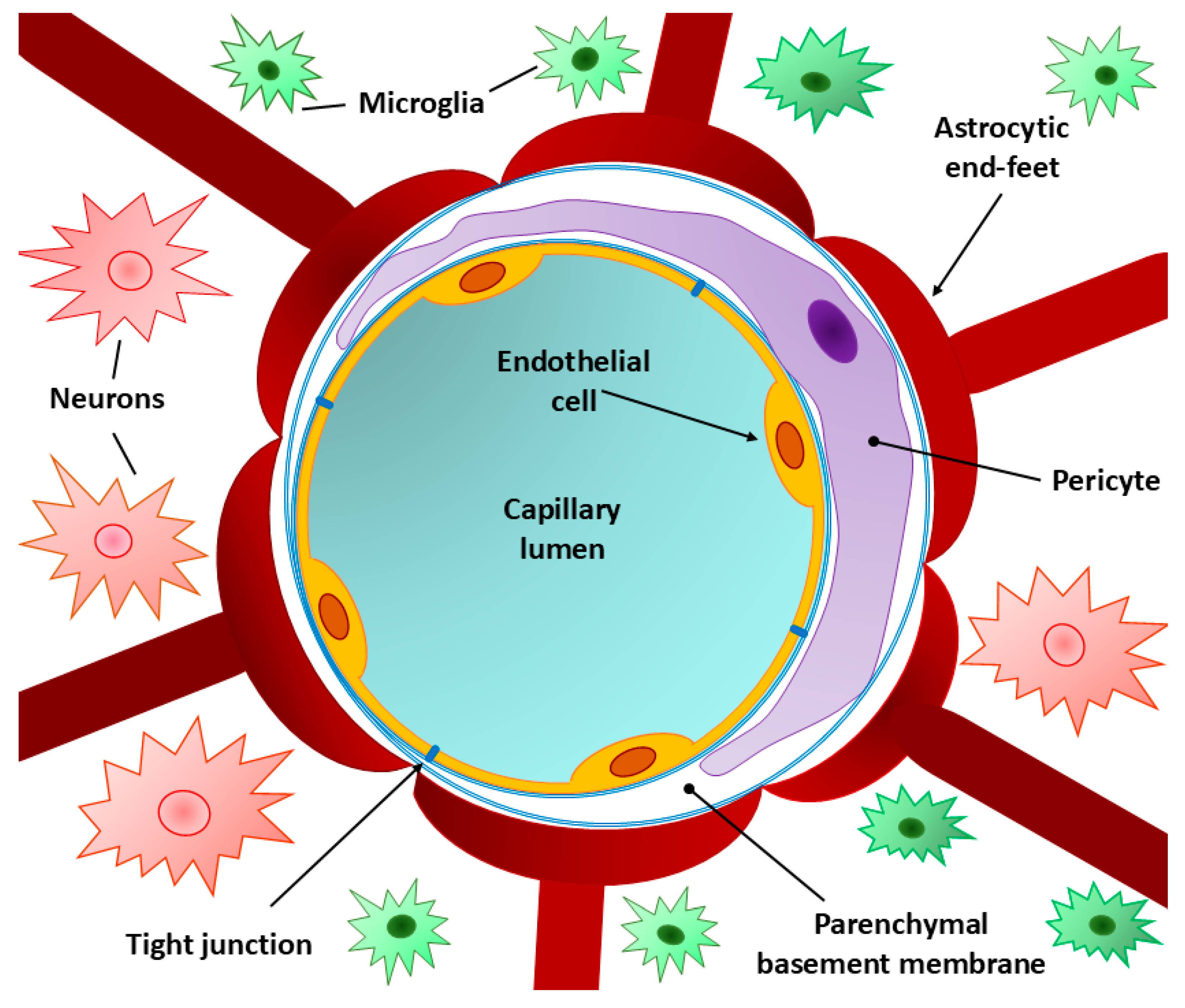 Preprints 140793 g001