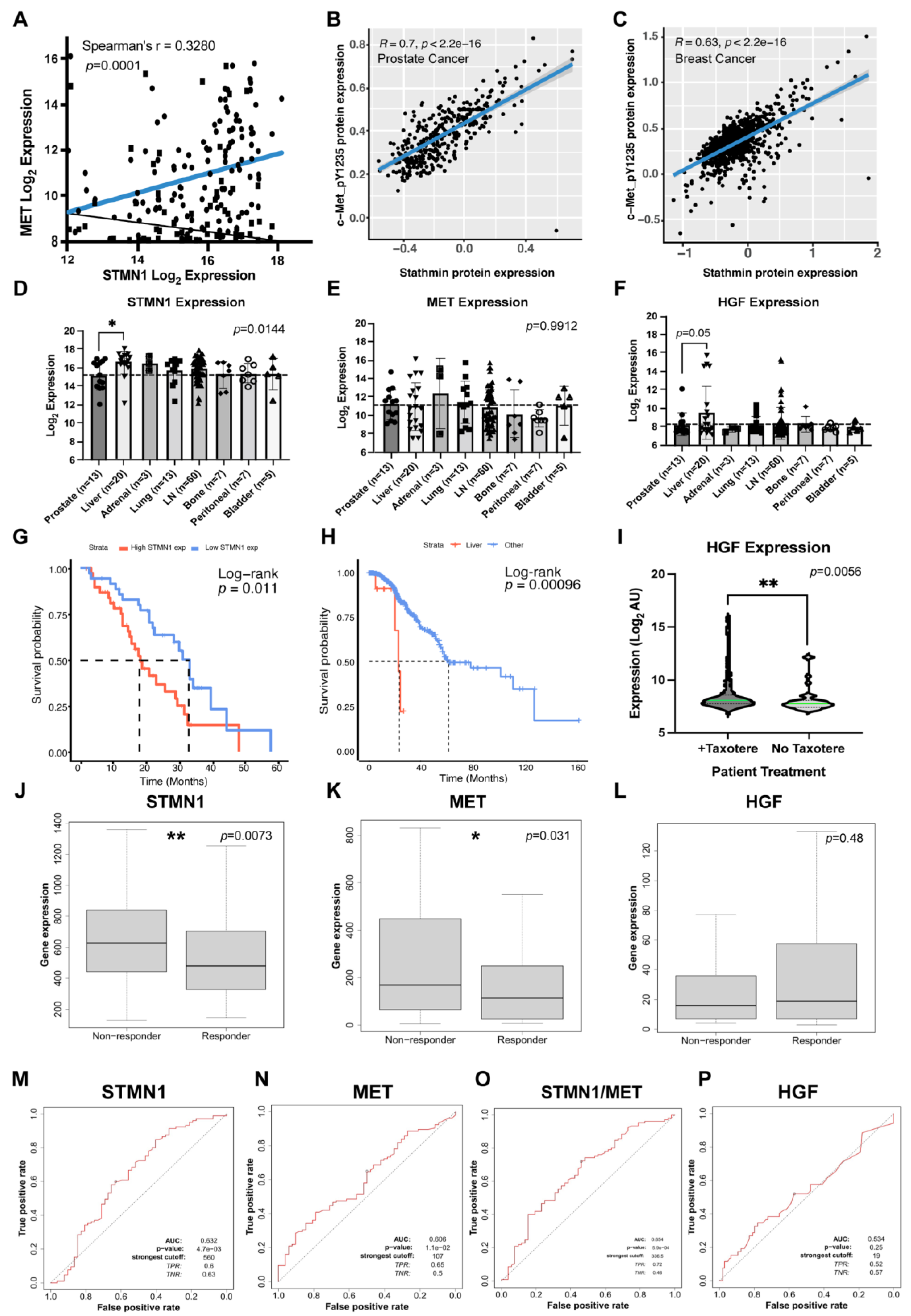 Preprints 161454 g001