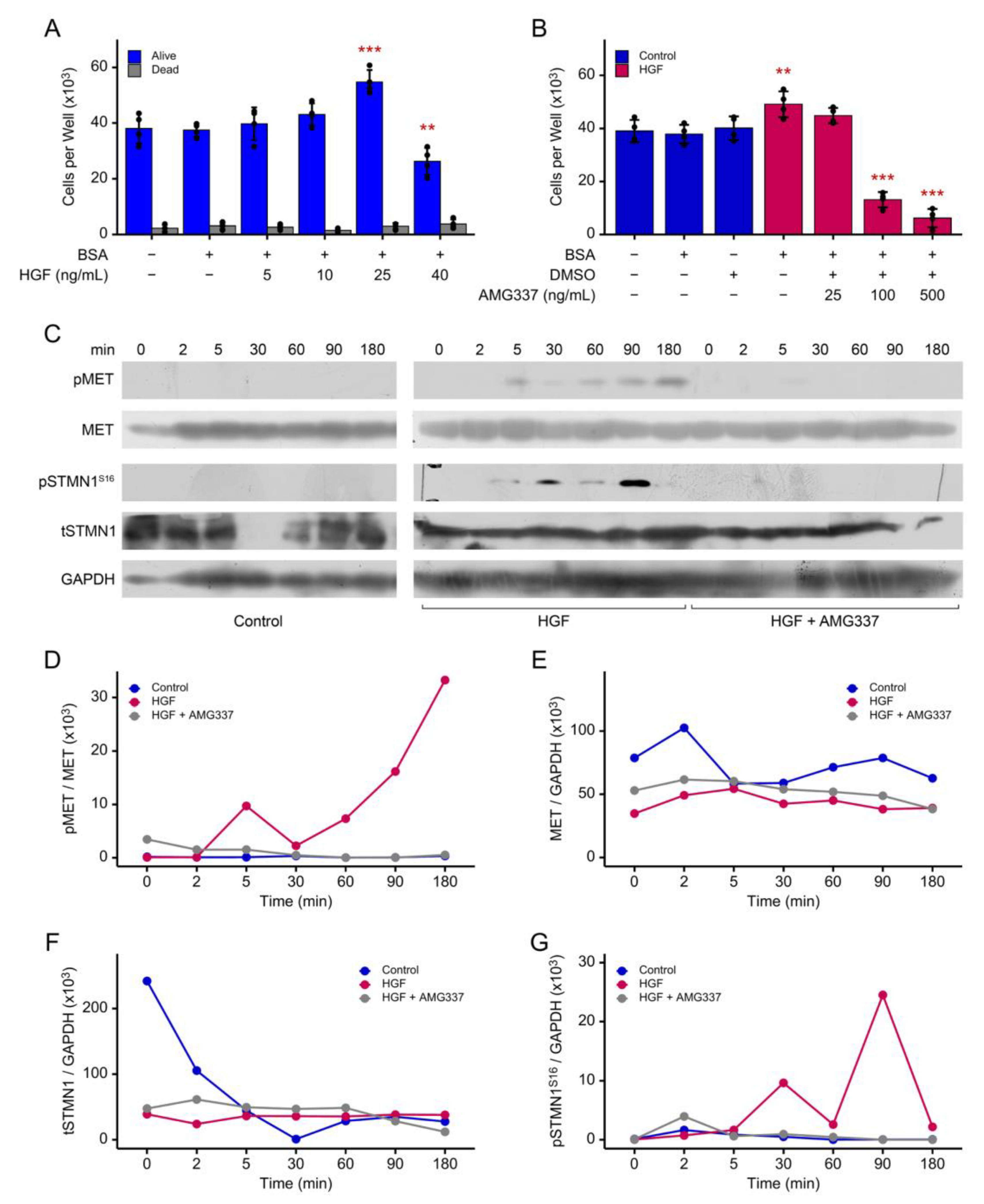 Preprints 161454 g002
