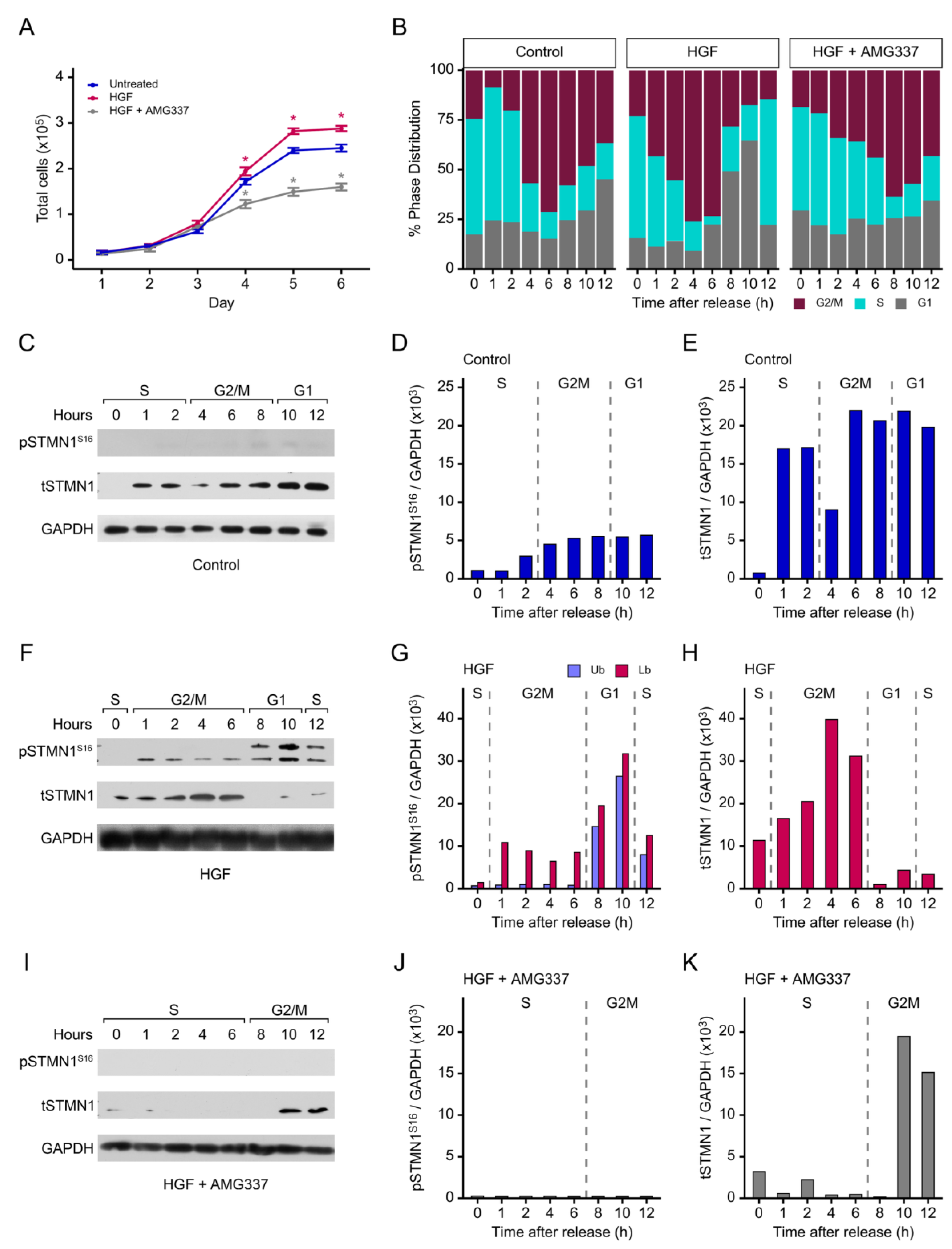 Preprints 161454 g003