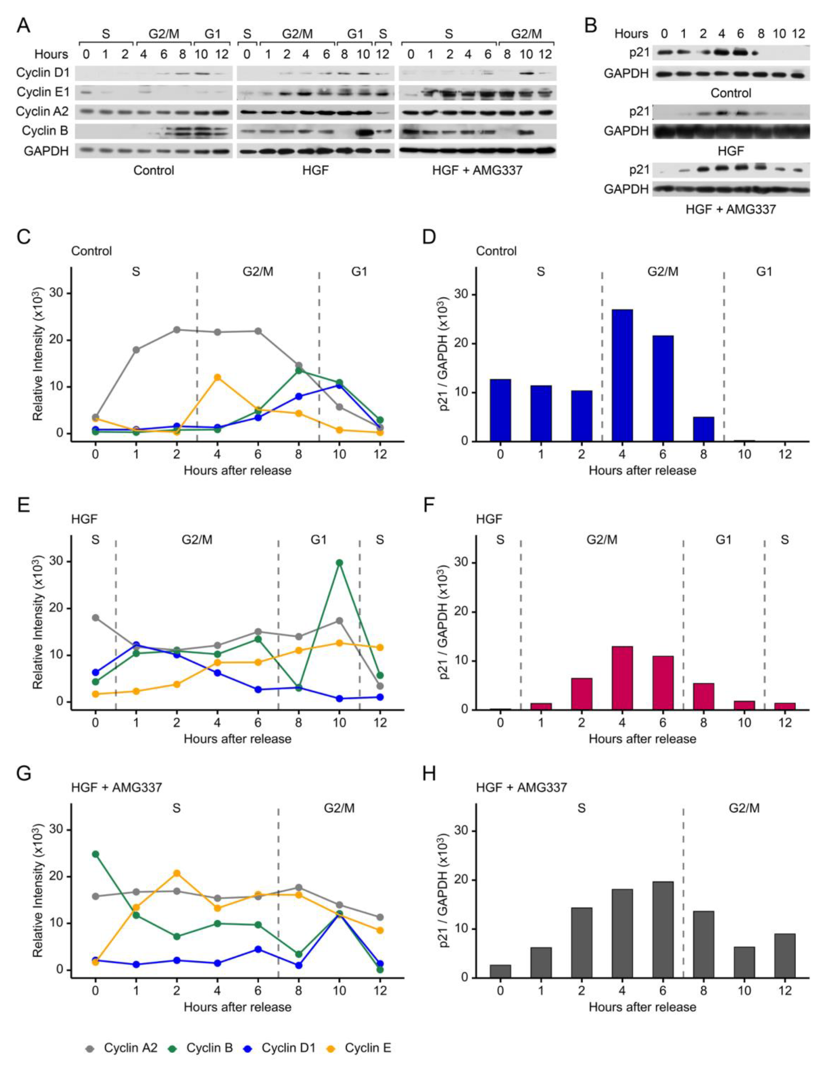 Preprints 161454 g004