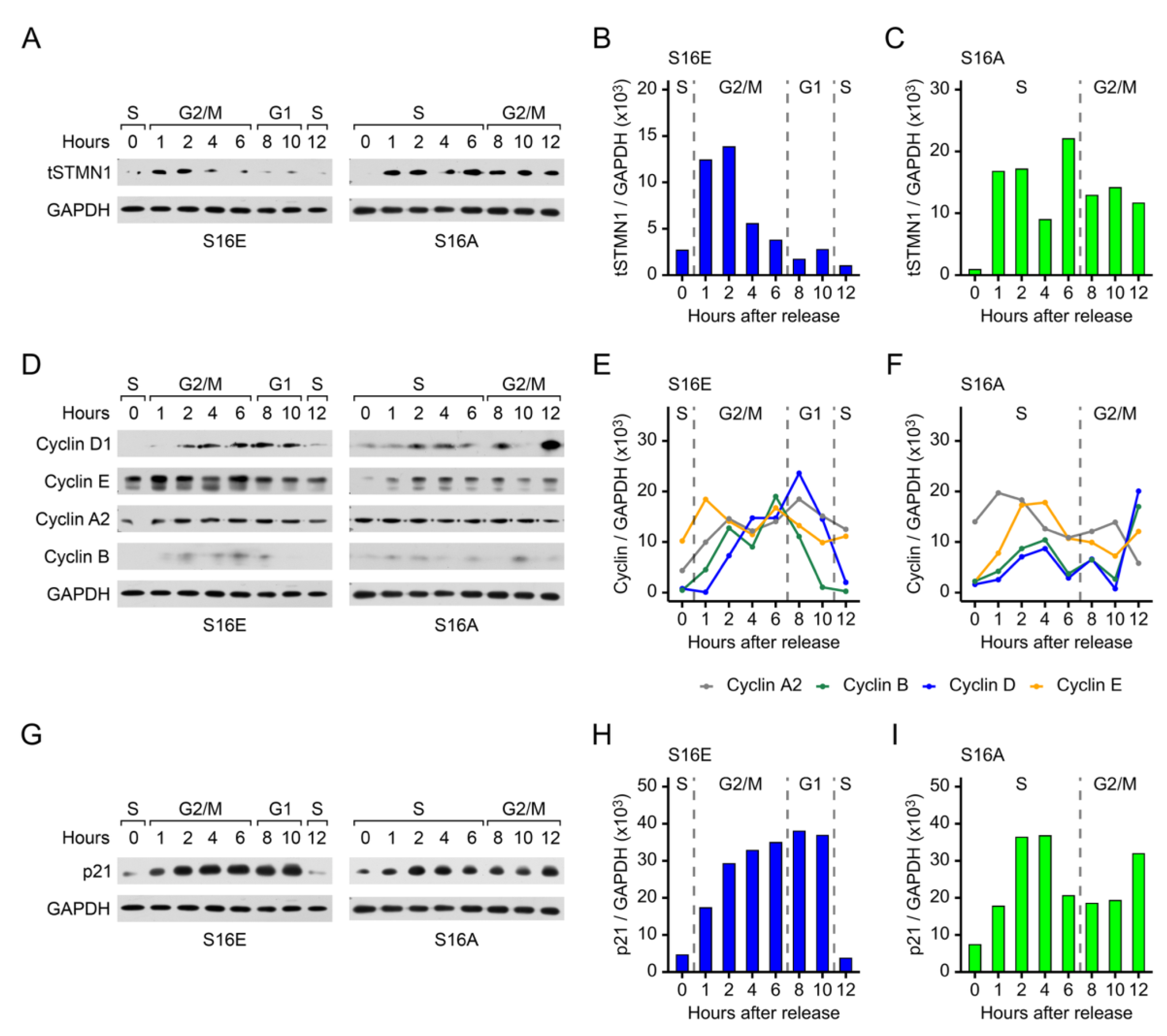Preprints 161454 g006