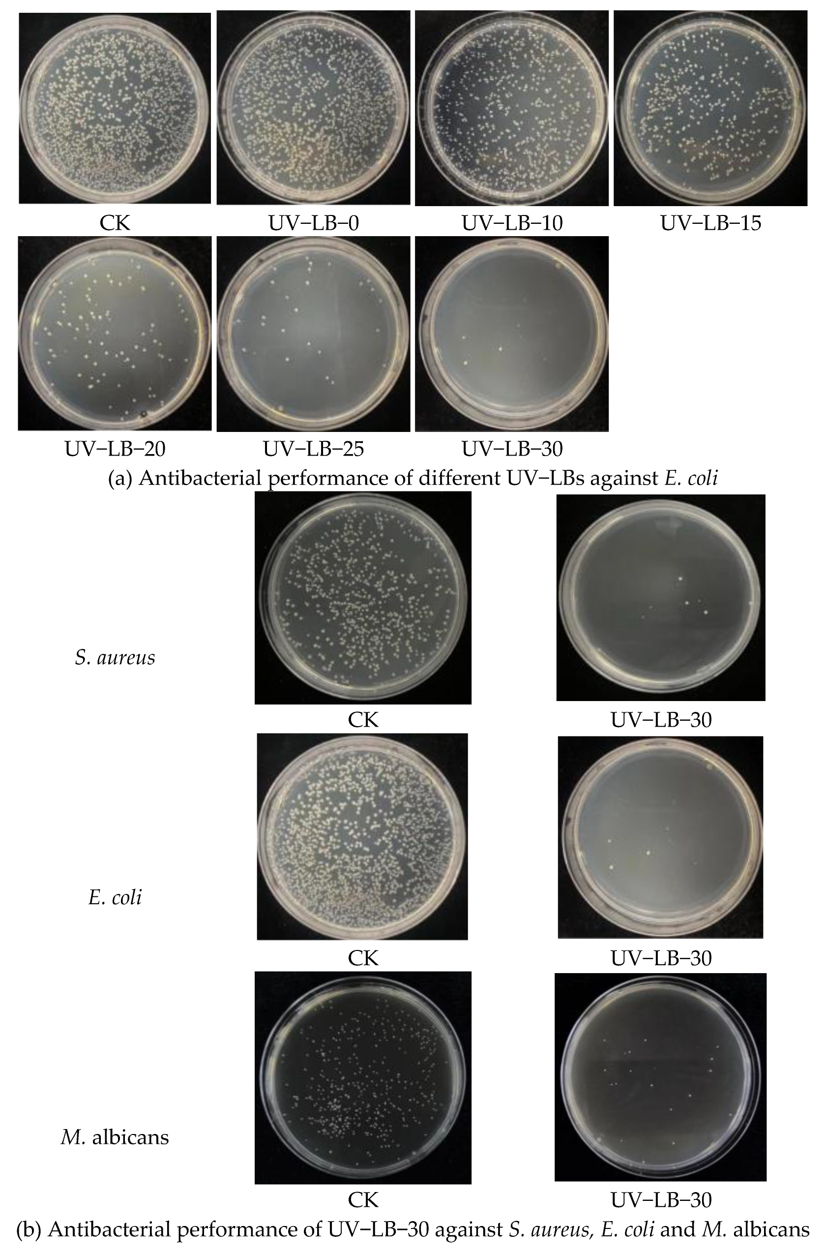Preprints 206216 g002