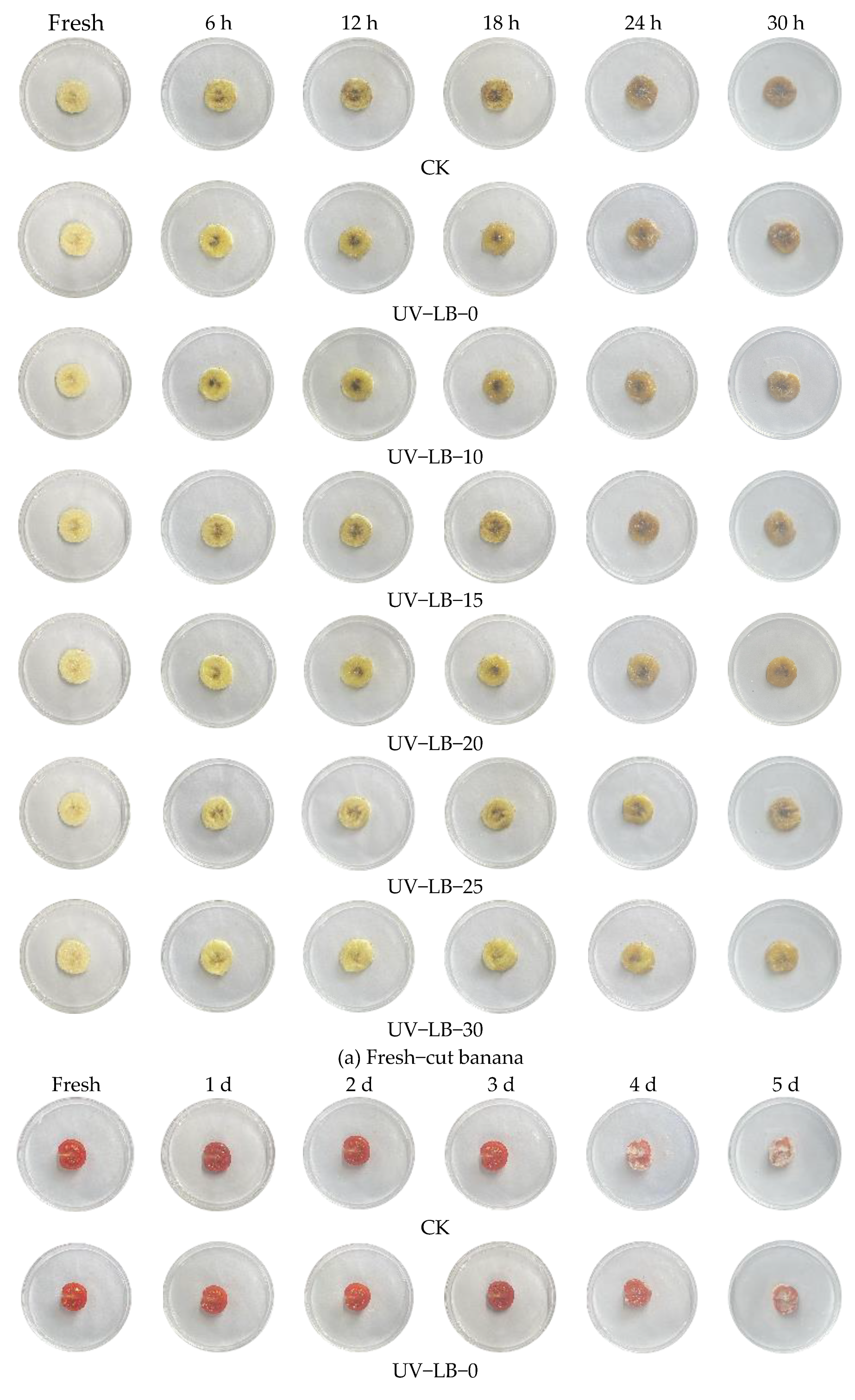 Preprints 206216 g006a