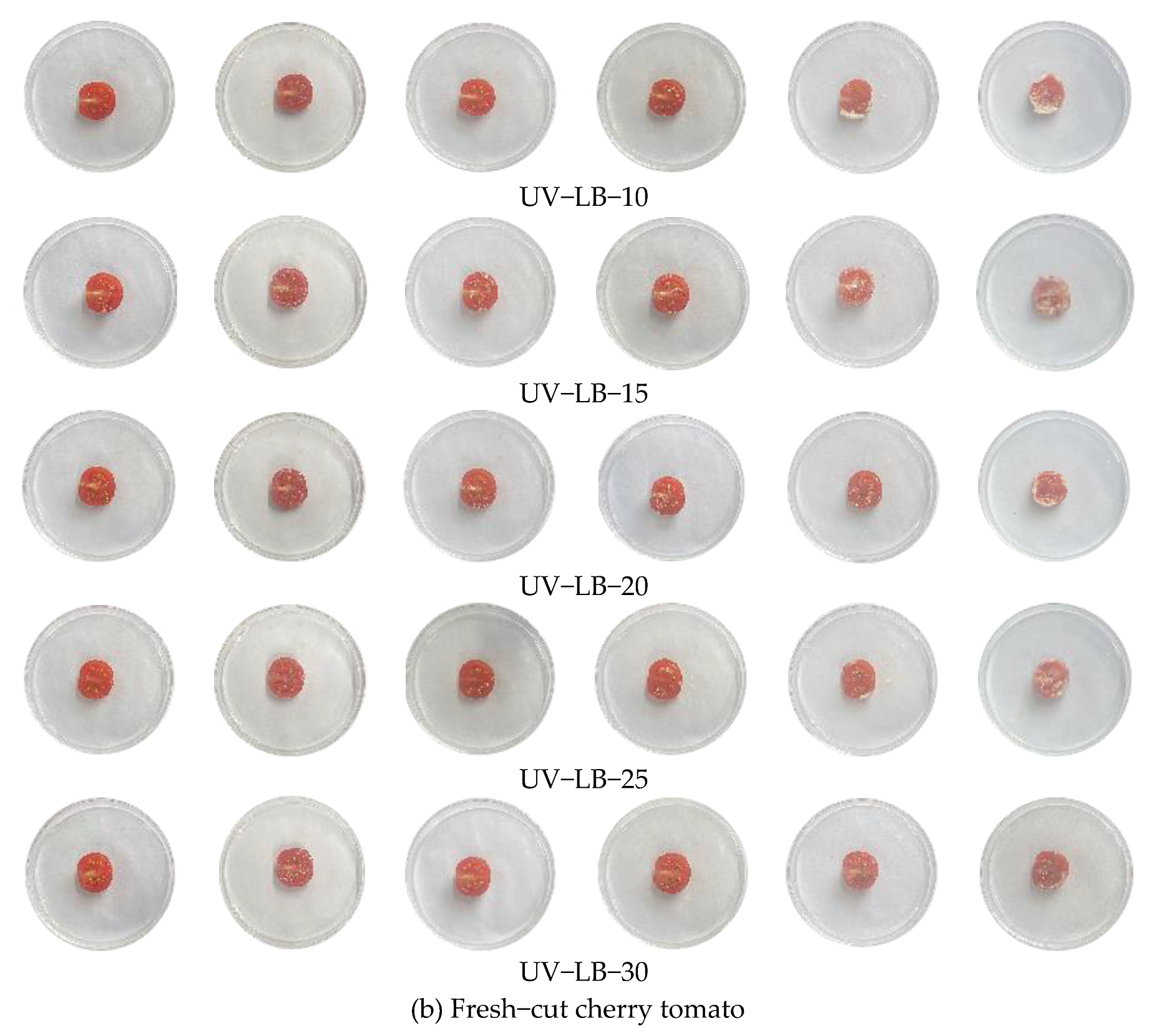Preprints 206216 g006b