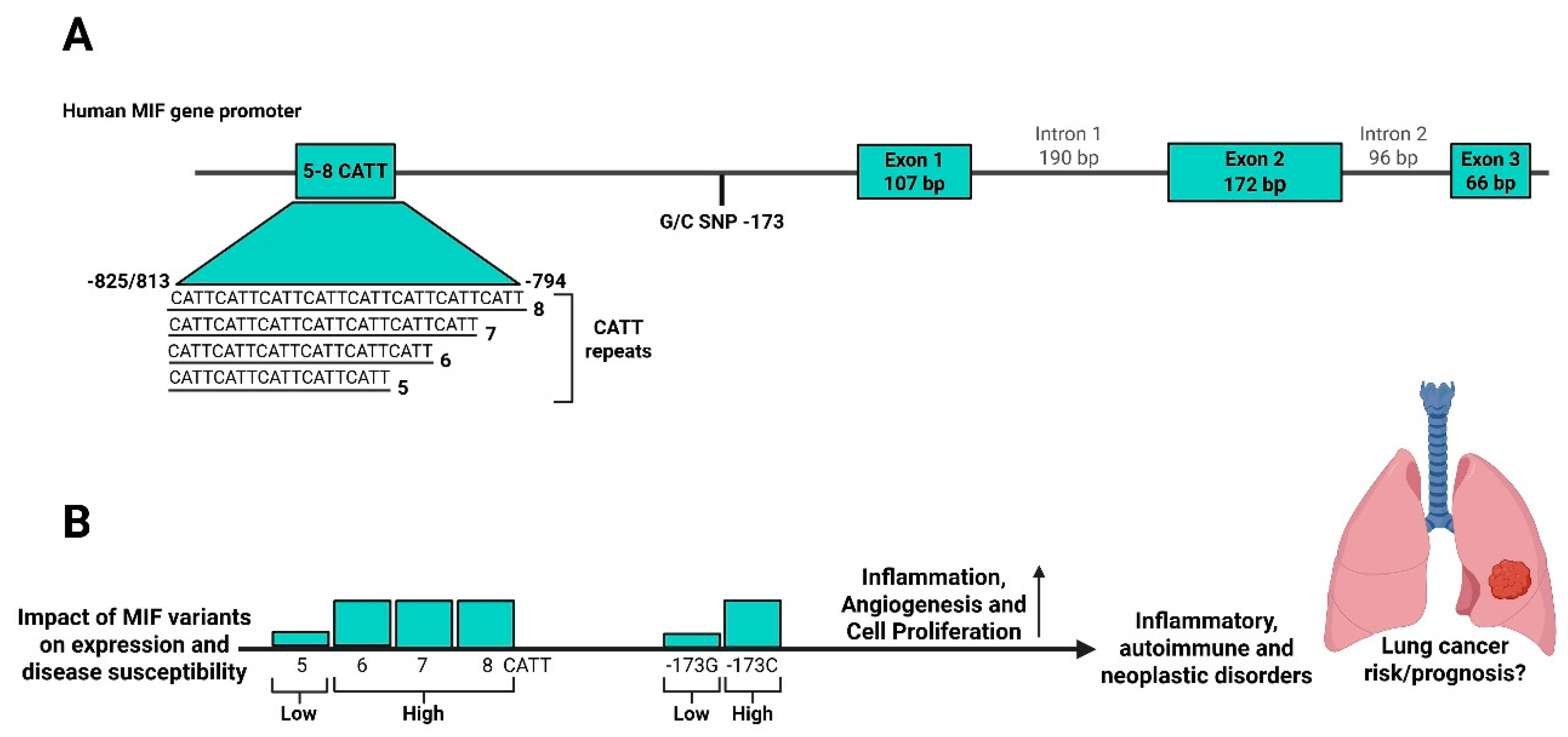 Preprints 197852 g001