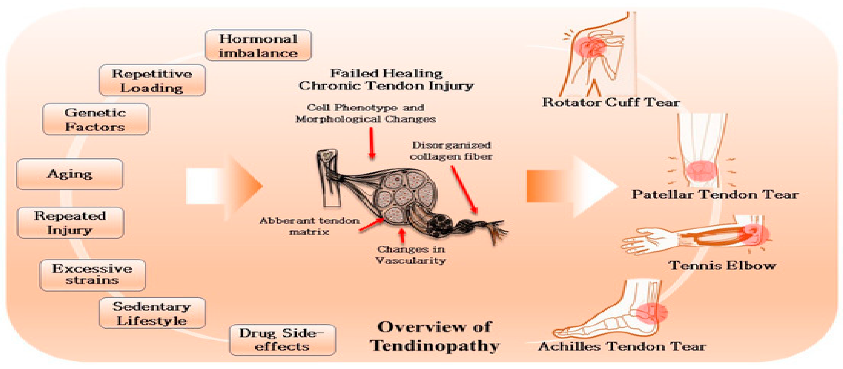 Preprints 170838 g001