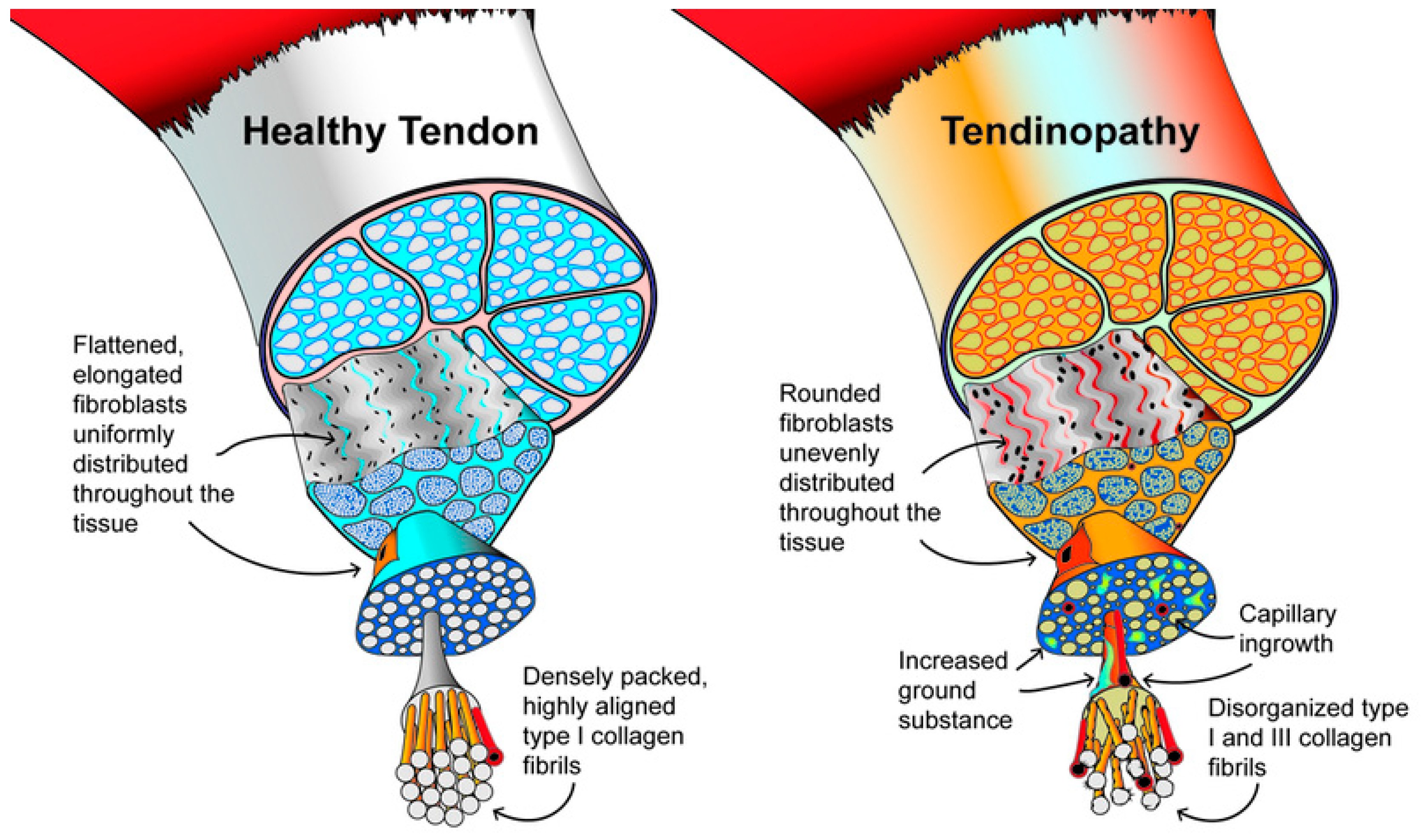 Preprints 170838 g003