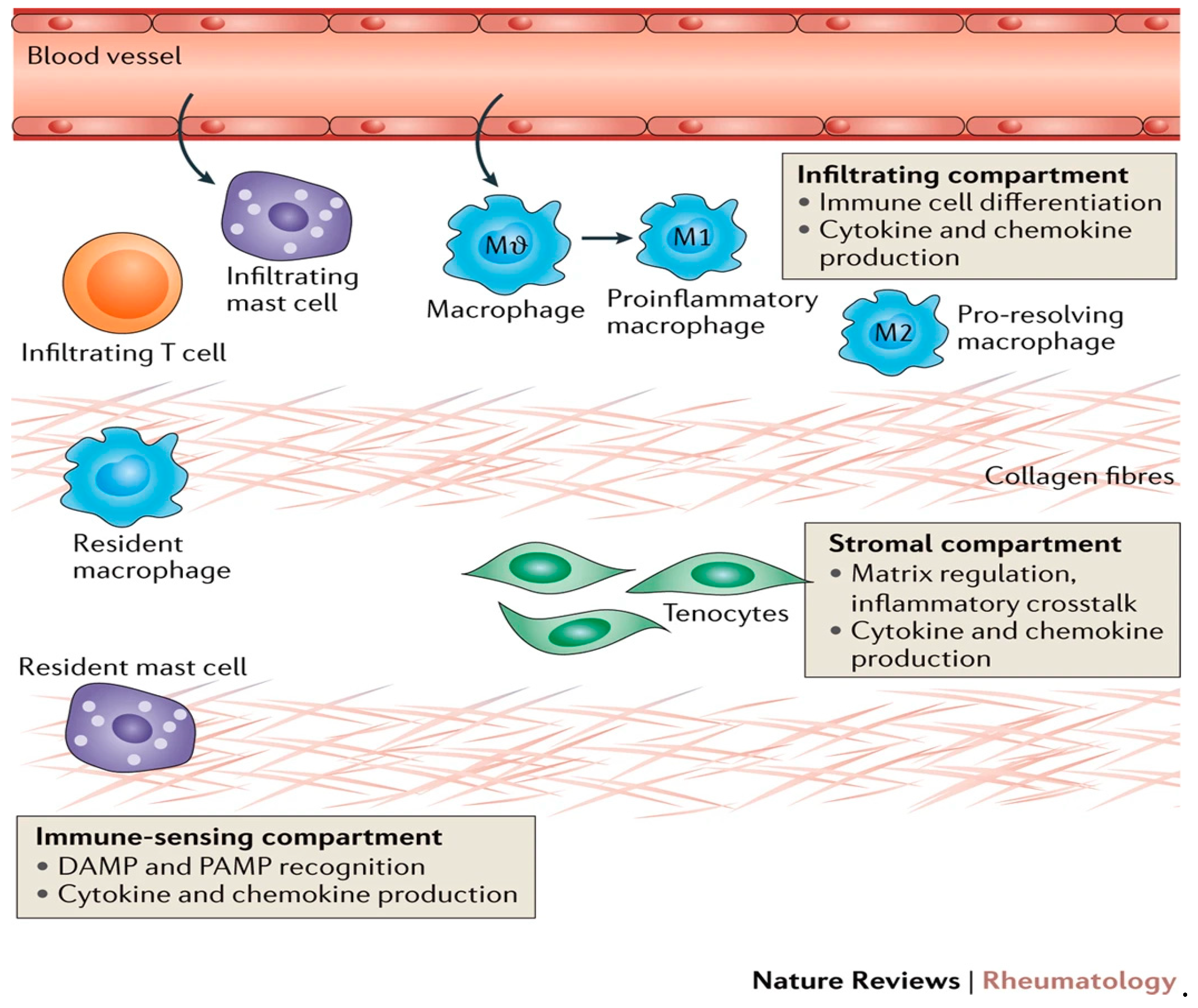 Preprints 170838 g004
