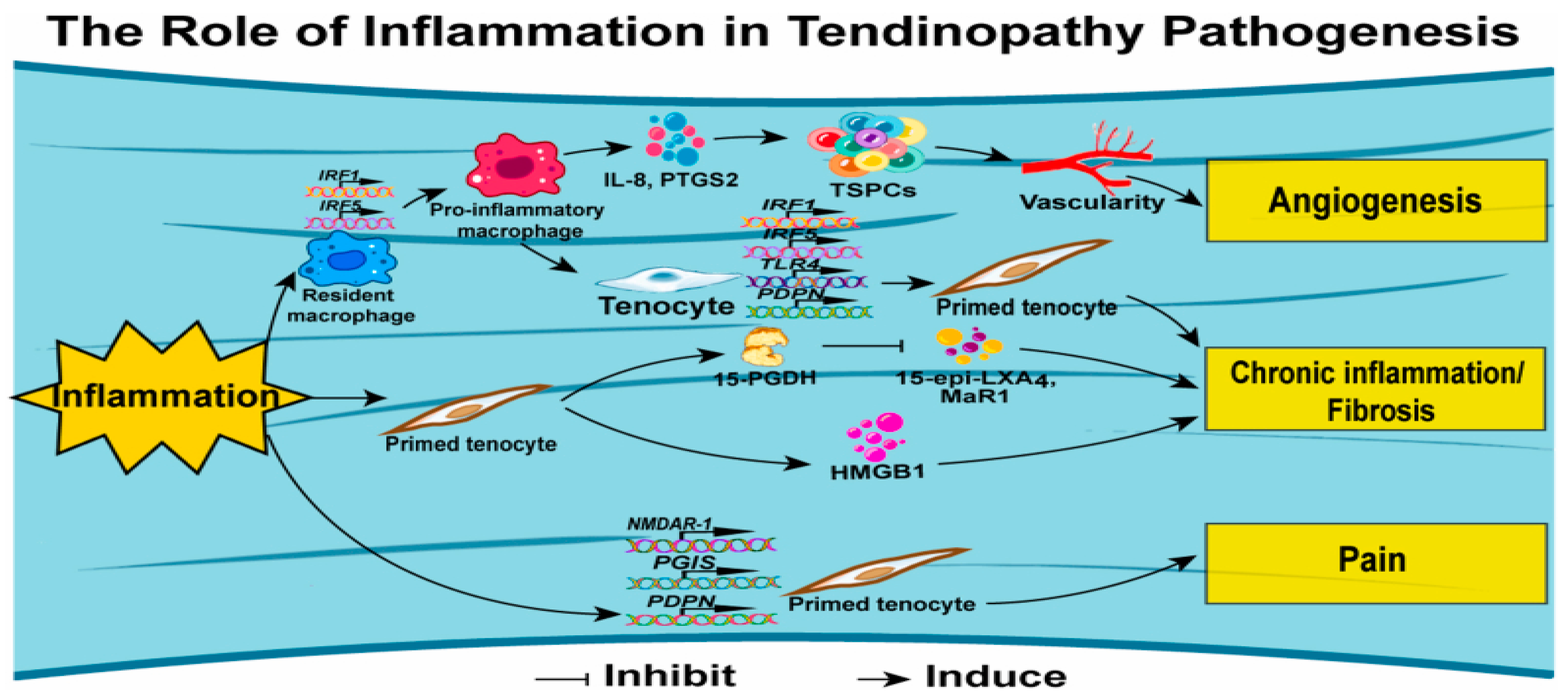 Preprints 170838 g007