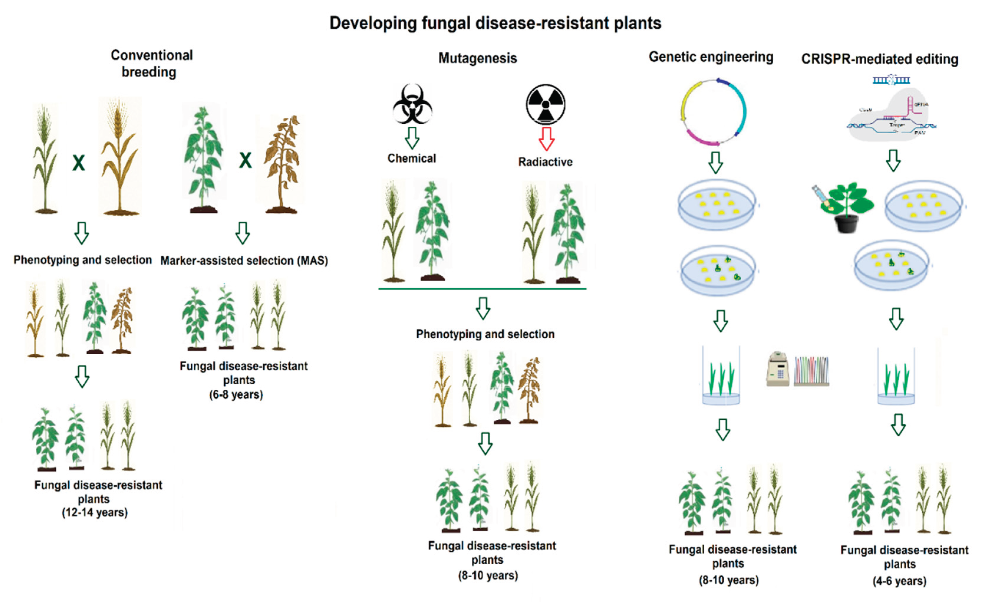 Preprints 181713 g001