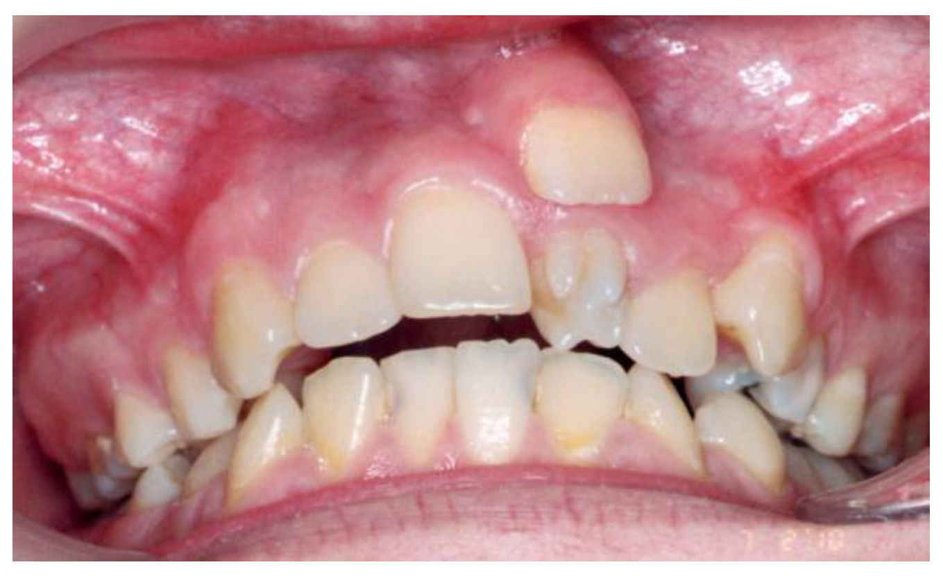 Preprints 182797 g001