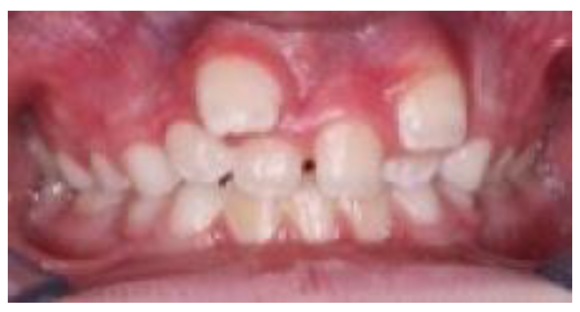 Preprints 182797 g002