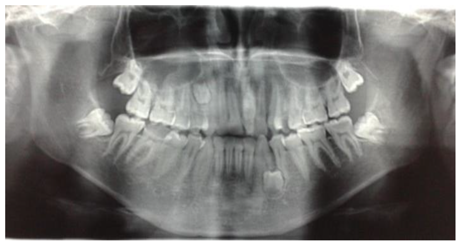 Preprints 182797 g003