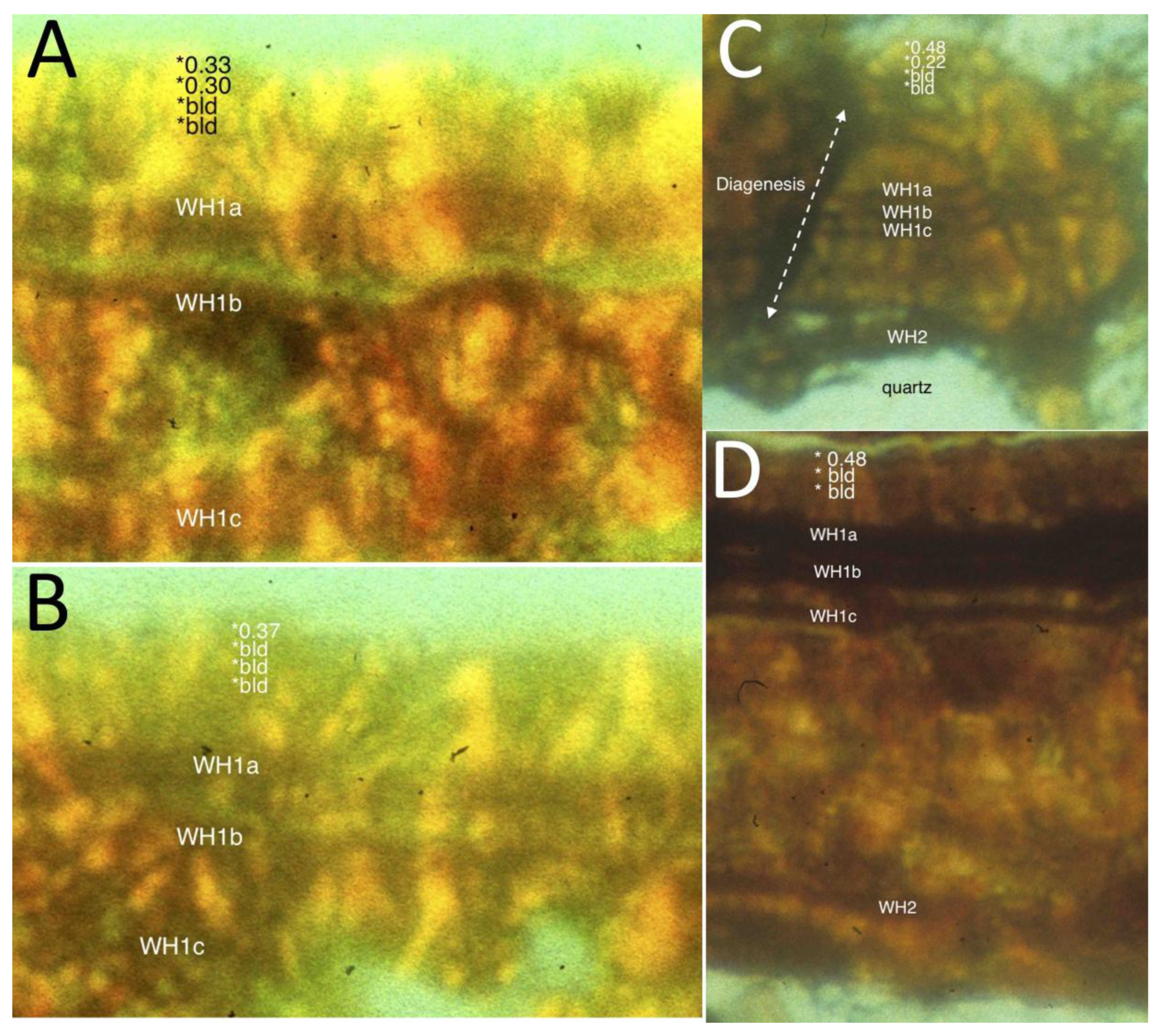 Preprints 173448 g012