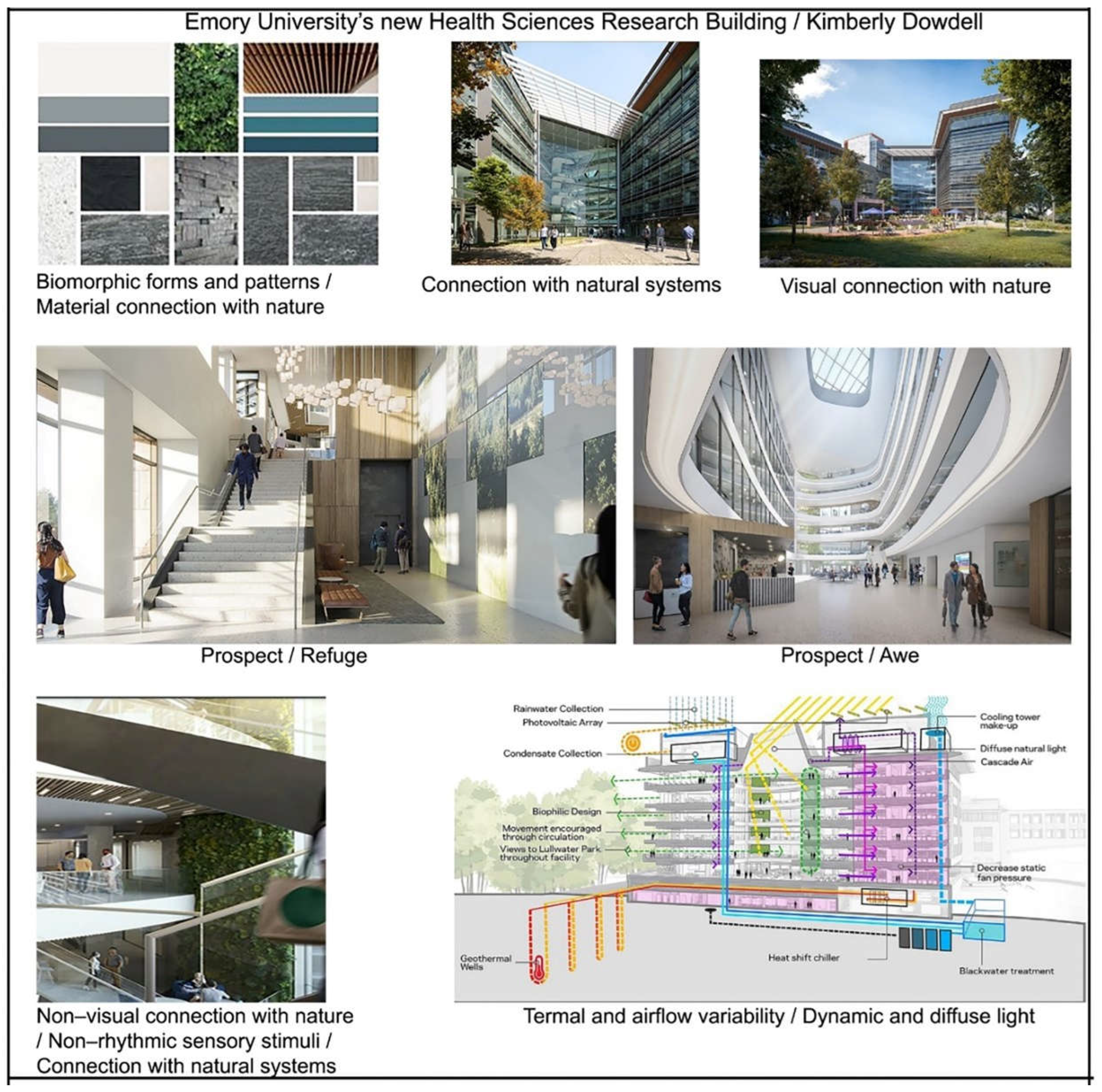 Preprints 110706 g002