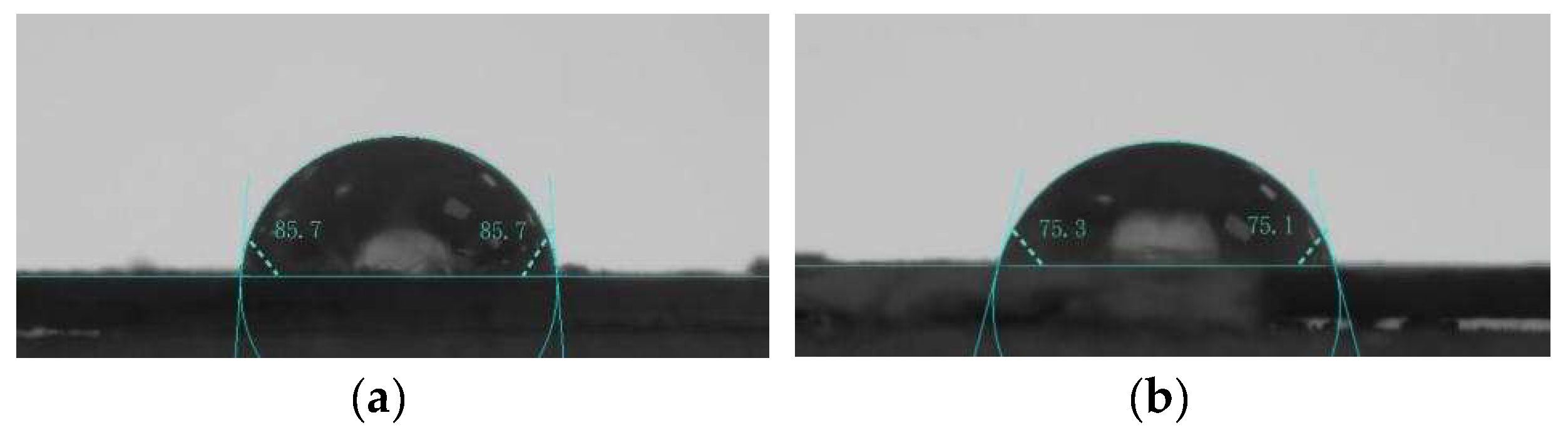 Preprints 209796 g012