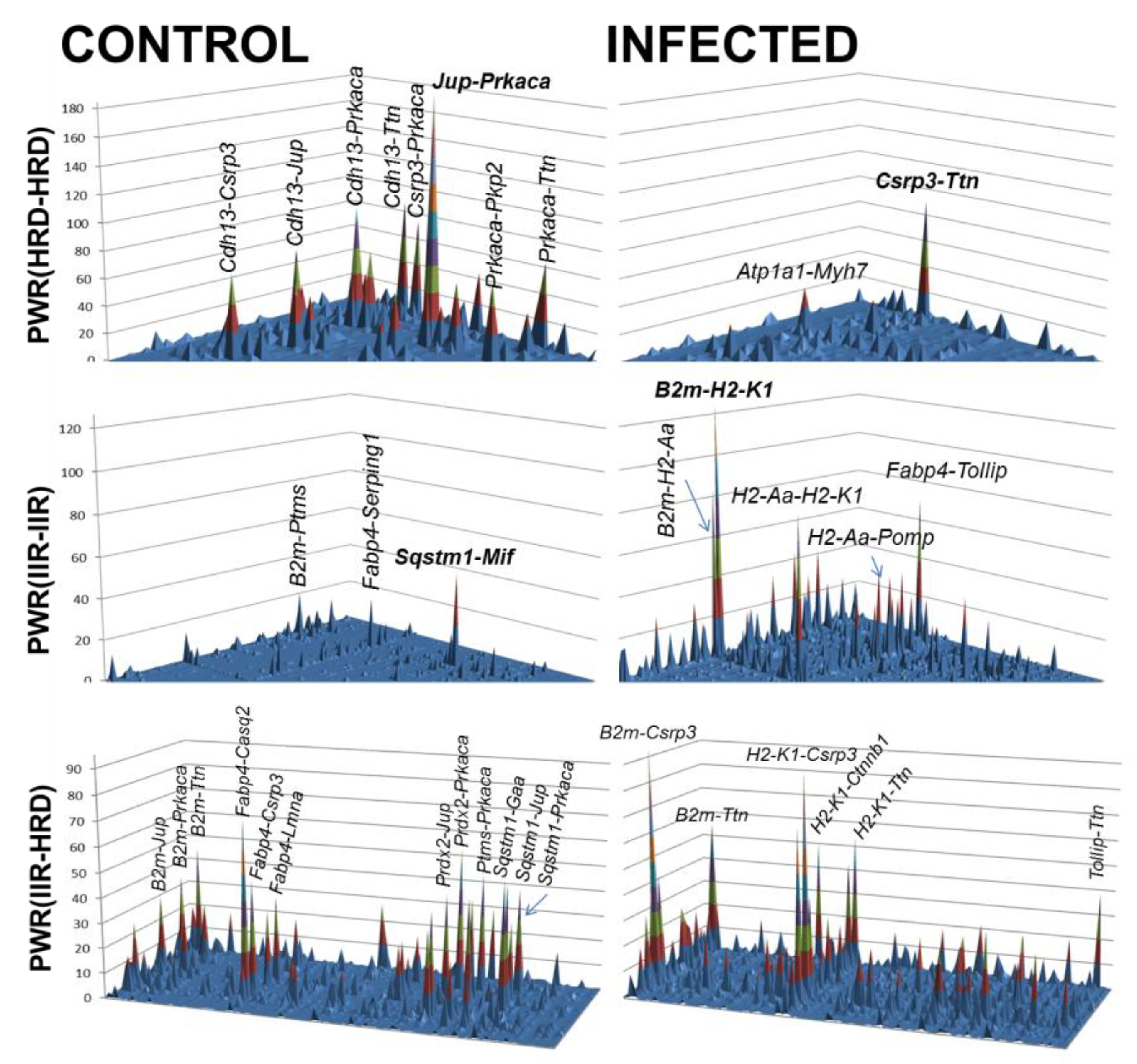 Preprints 211660 g001