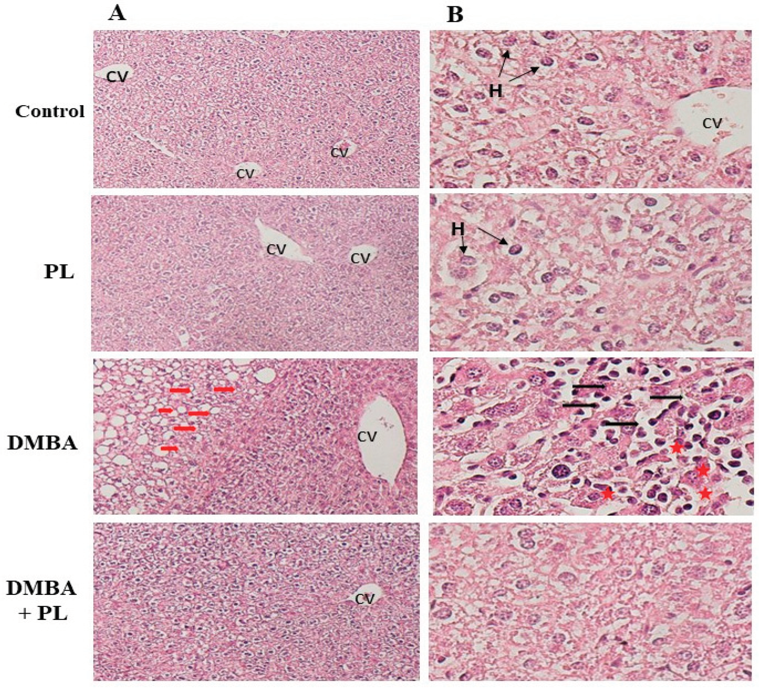 Preprints 103545 g003