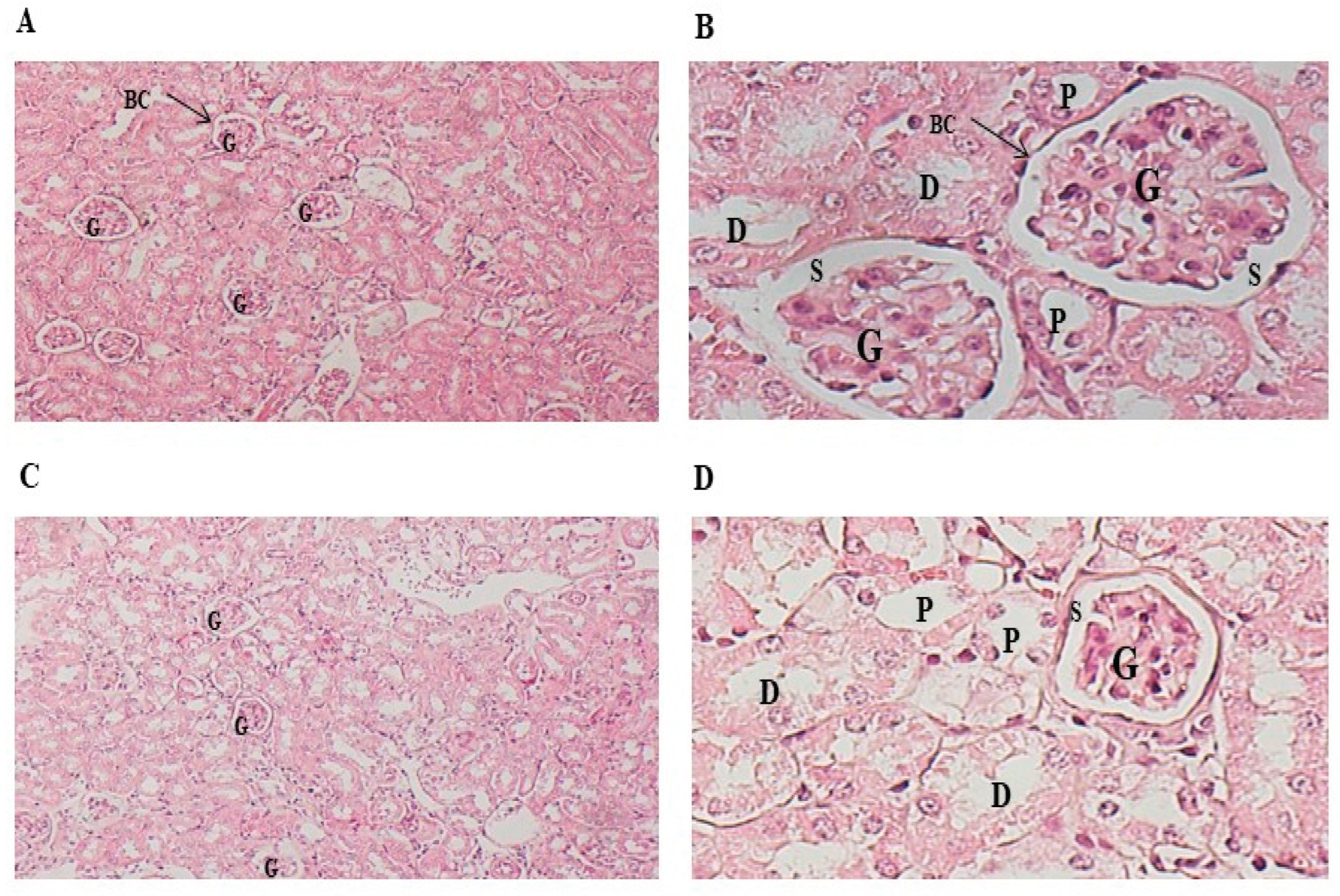 Preprints 103545 g004